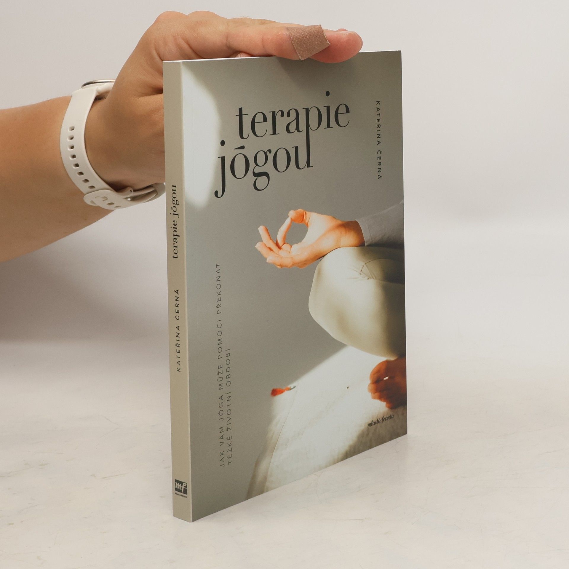 Kateřina Černá Terapie jógou : Jak vám jóga může pomoci překonat těžké životní období