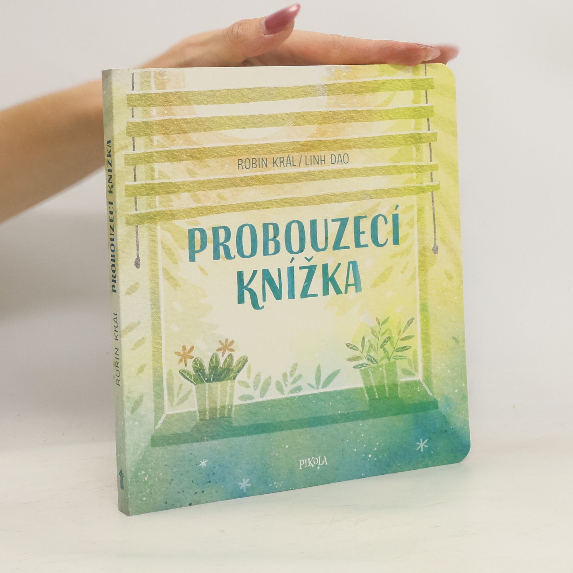 Robin Král Probouzecí knížka