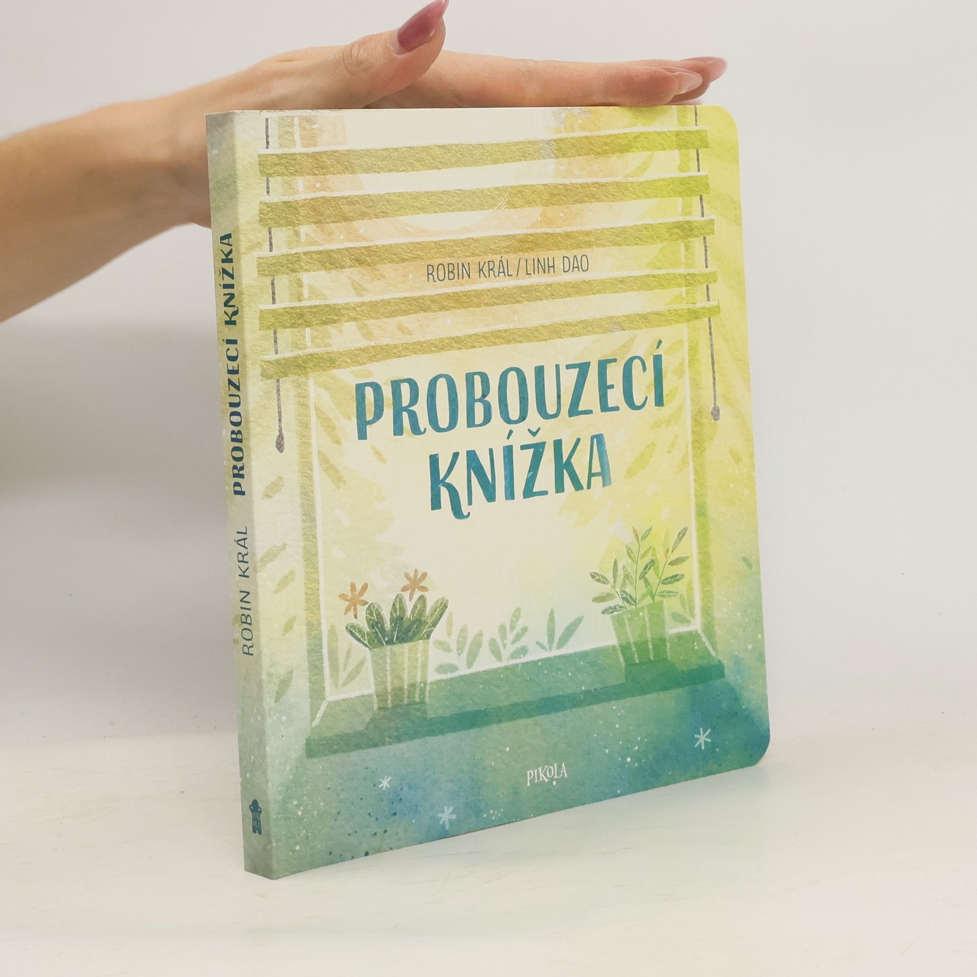 Robin Král Probouzecí knížka