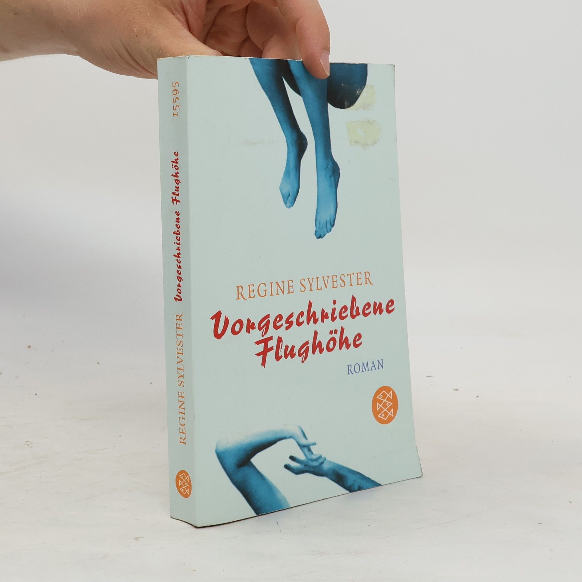 Regine Sylvester Vorgeschriebene Flughöhe