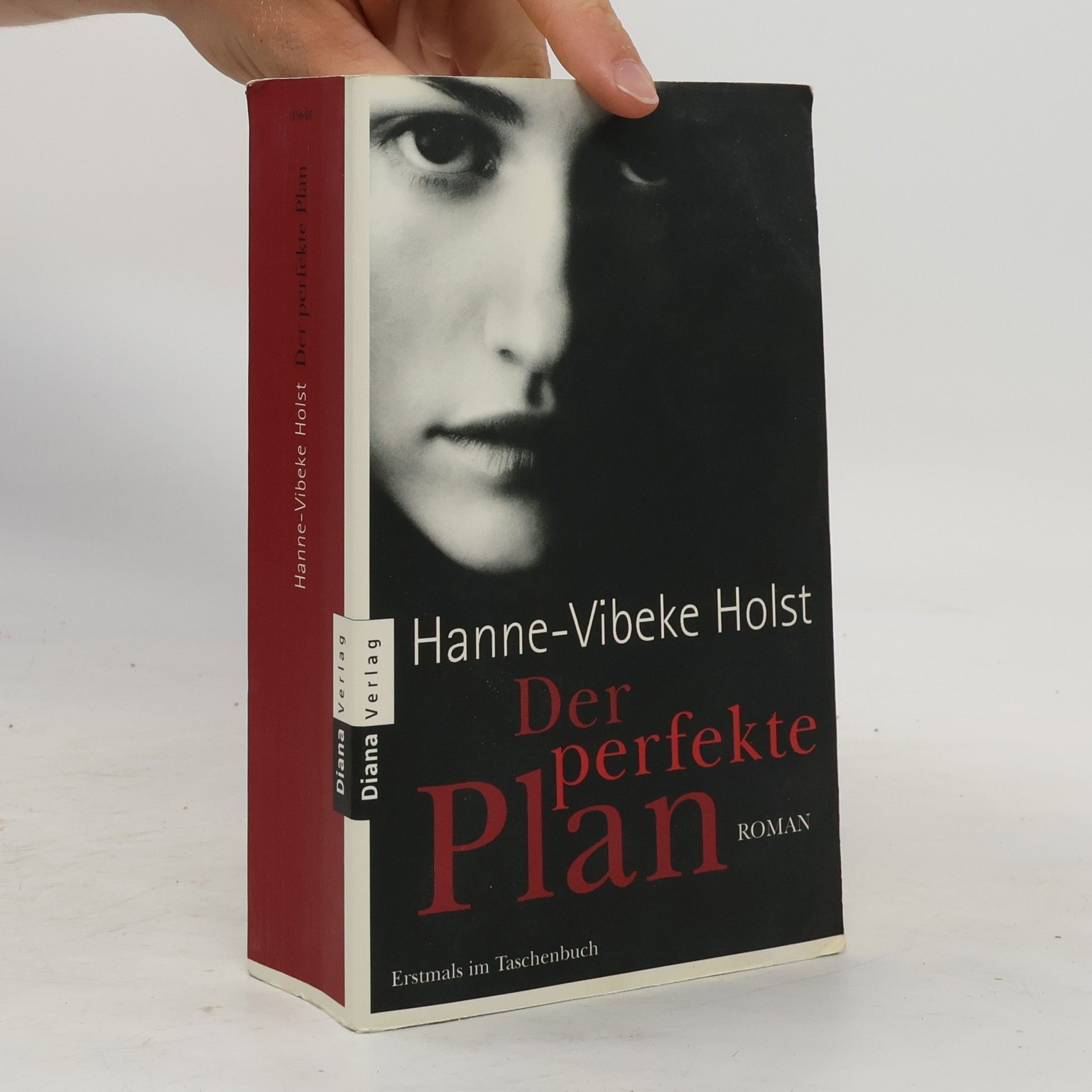 Hanne-Vibeke Holst Der perfekte Plan
