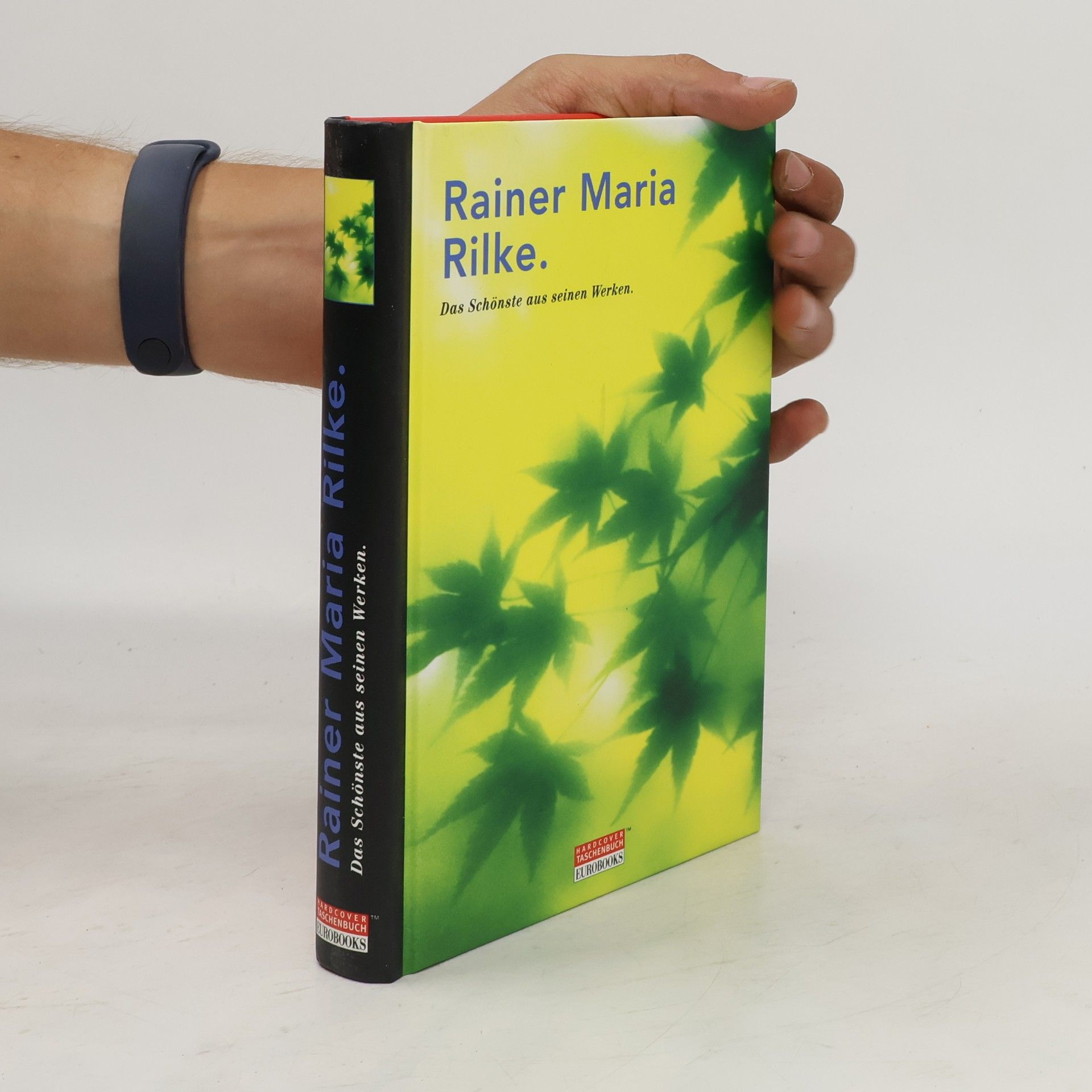 Rainer Maria Rilke Das Schönste aus seinen Werken
