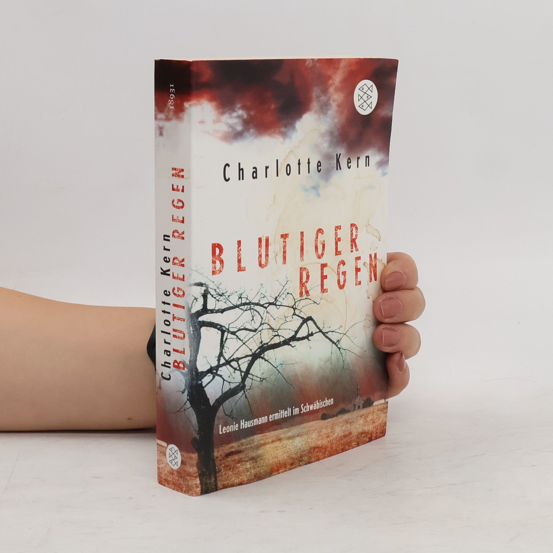 Charlotte Kern Blutiger Regen