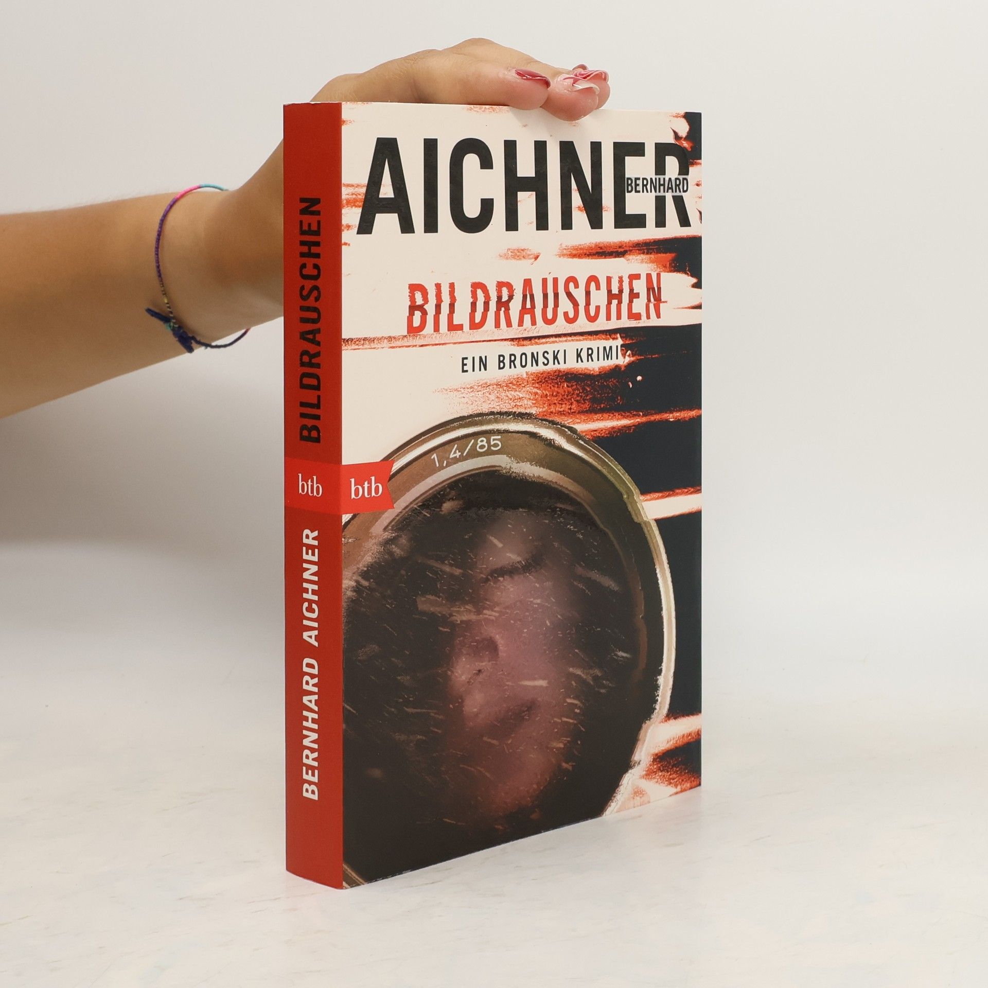 Bernhard Aichner Bildrauschen