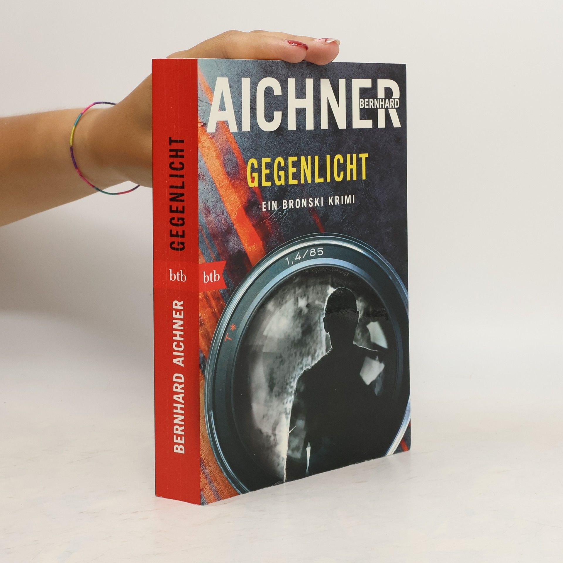 Bernhard Aichner Gegenlicht