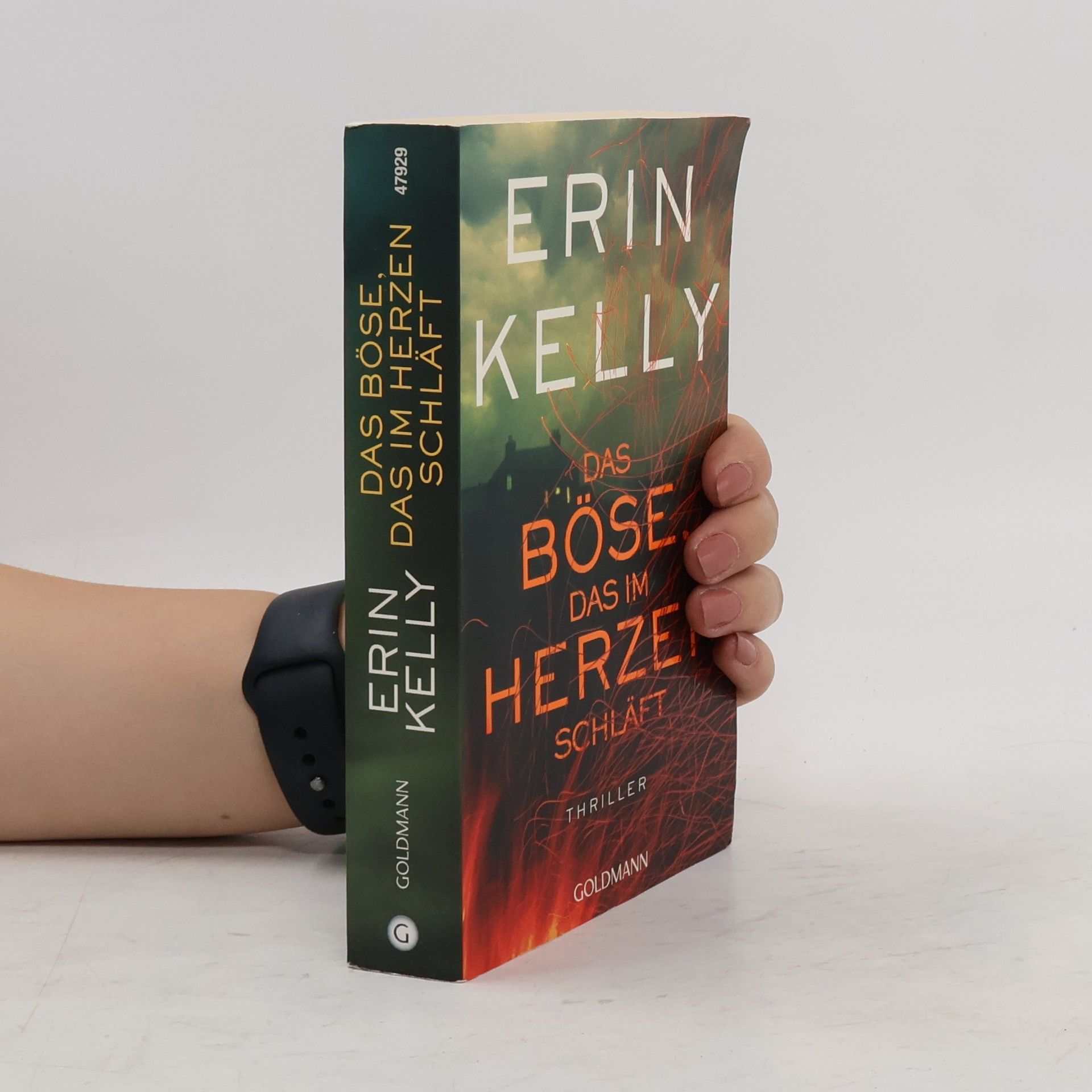 Erin Kelly Das Böse, das im Herzen schläft