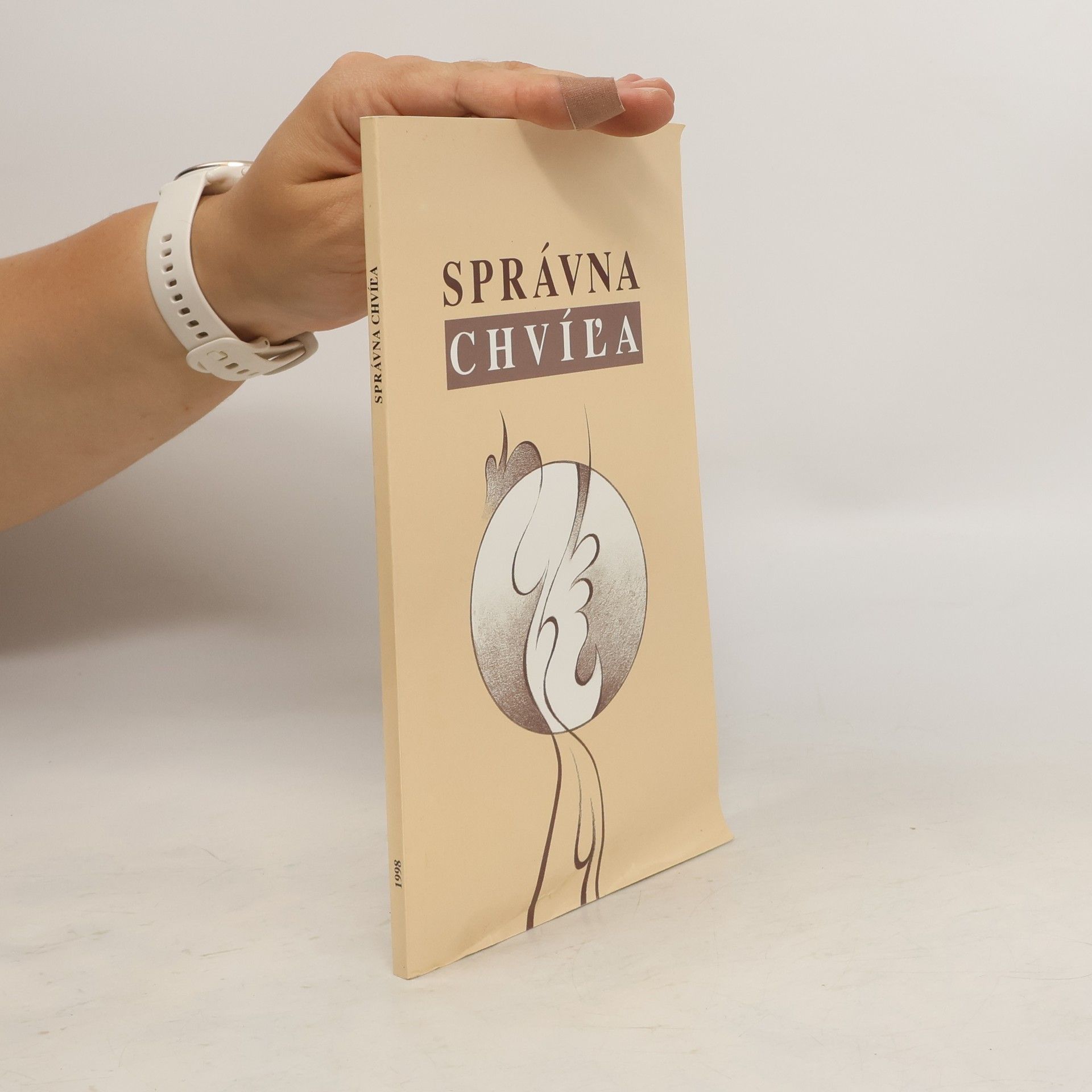 Collectif d'auteurs Správna chvíľa