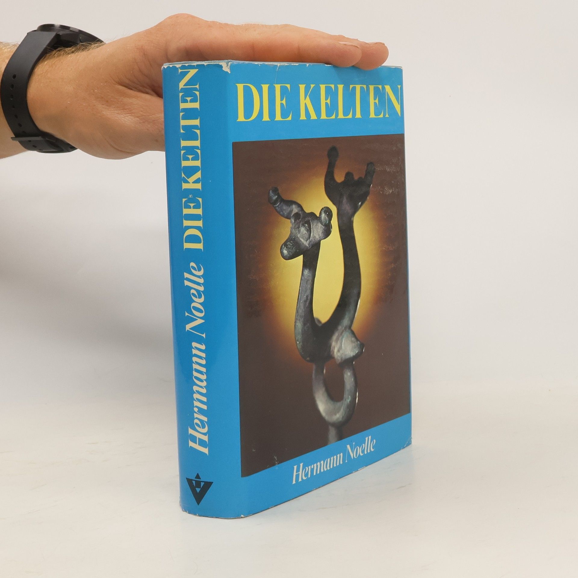 Hermann Noelle Die Kelten und ihre Stadt Manching.