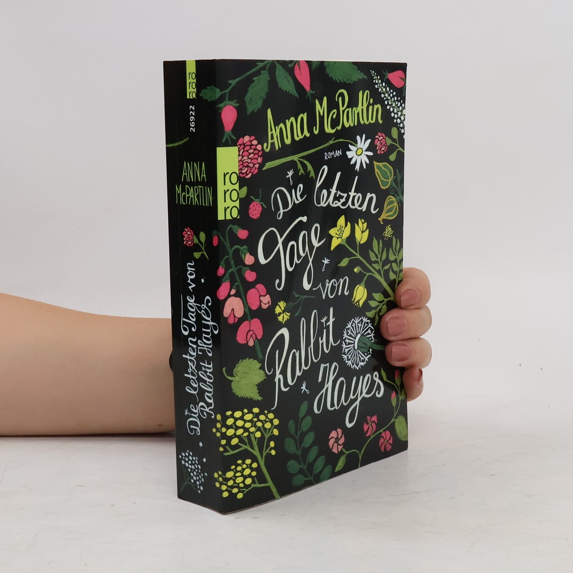 Anna Mc Partlin Die letzten Tage von Rabbit Hayes