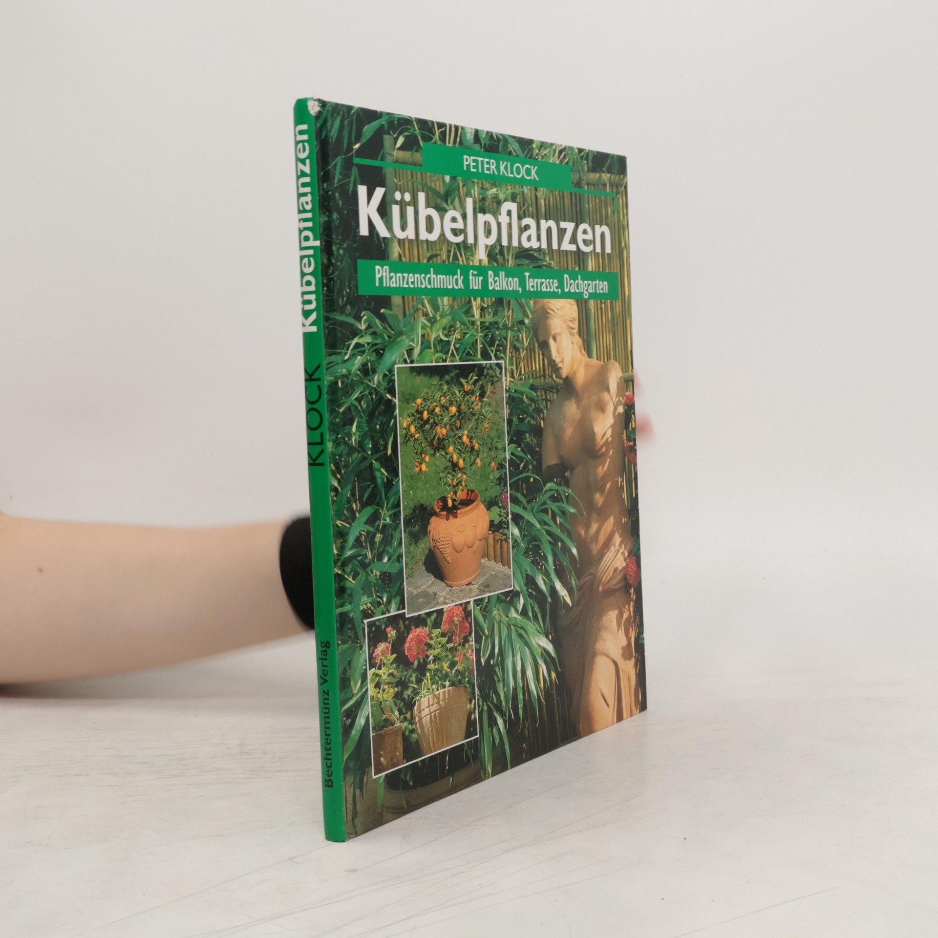 Peter Klock Kübelpflanzen