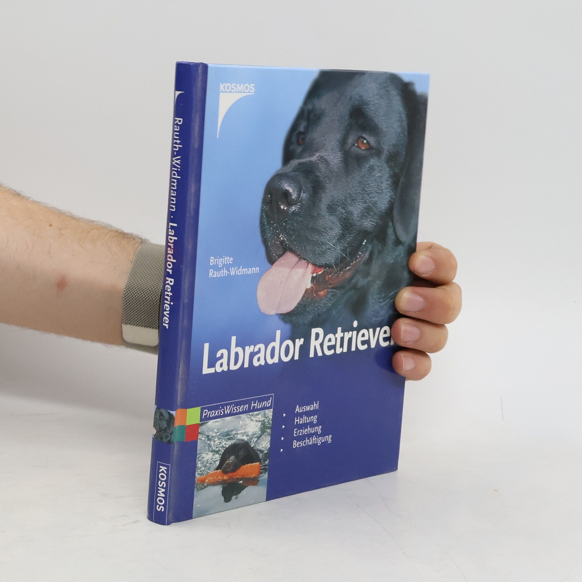 Brigitte Rauth Widmann Labrador