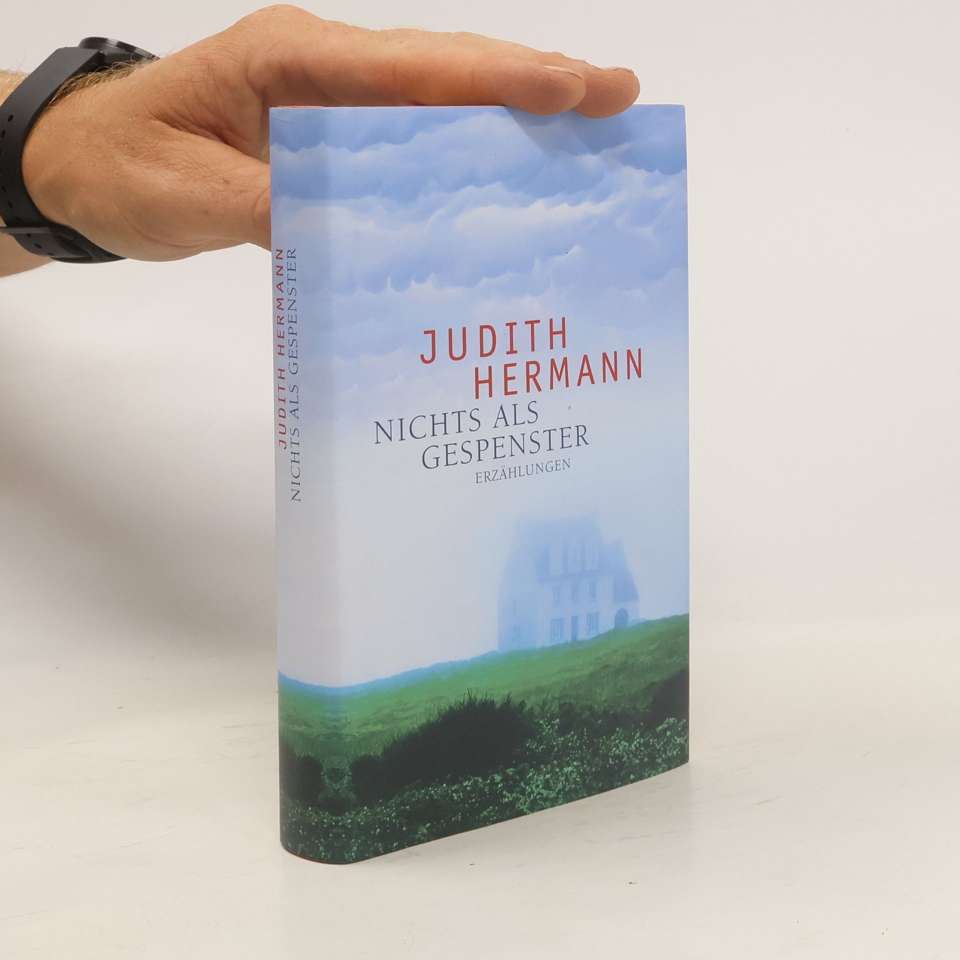 Judith Hermann Nichts als Gespenster. Erzählungen