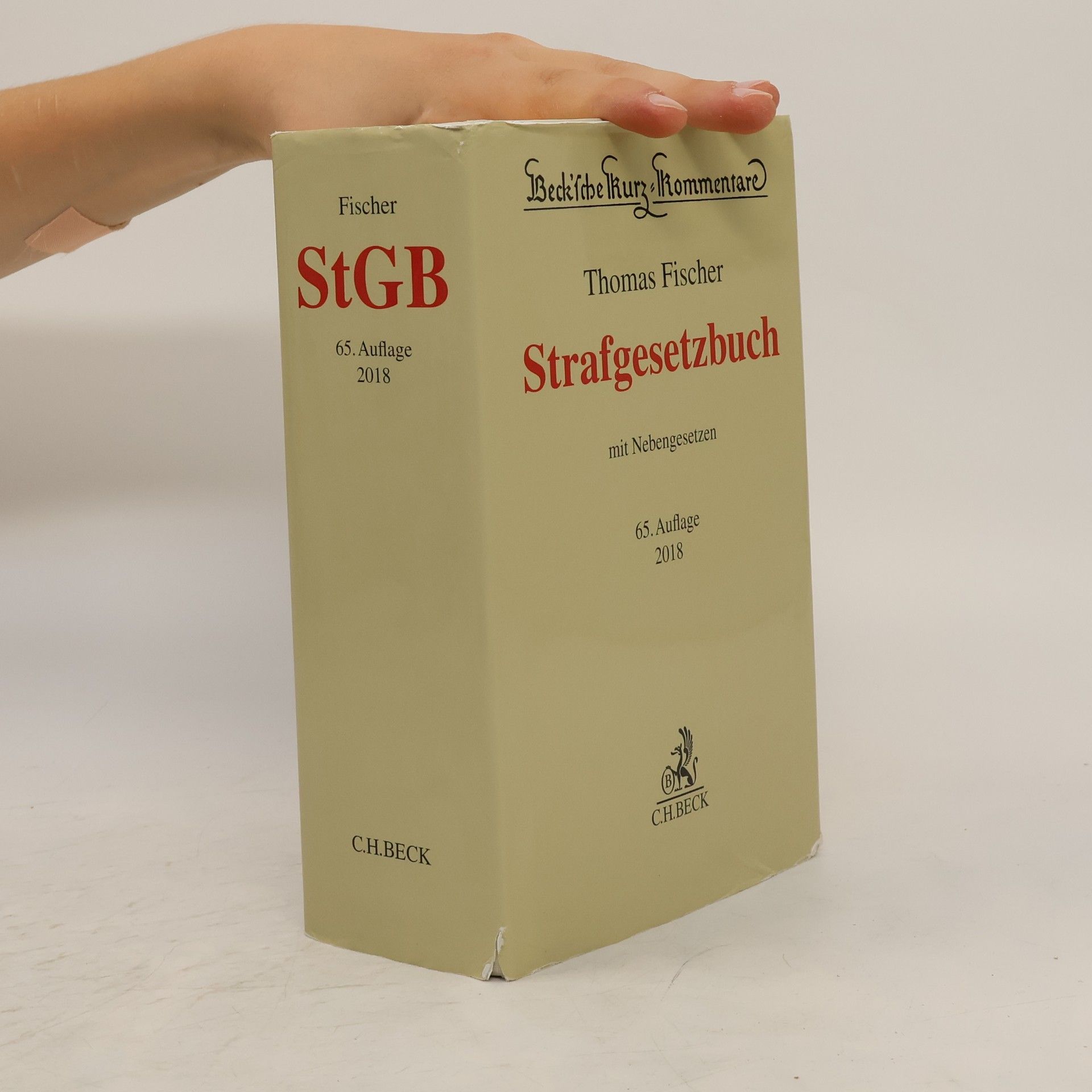 Thomas Fischer Strafgesetzbuch