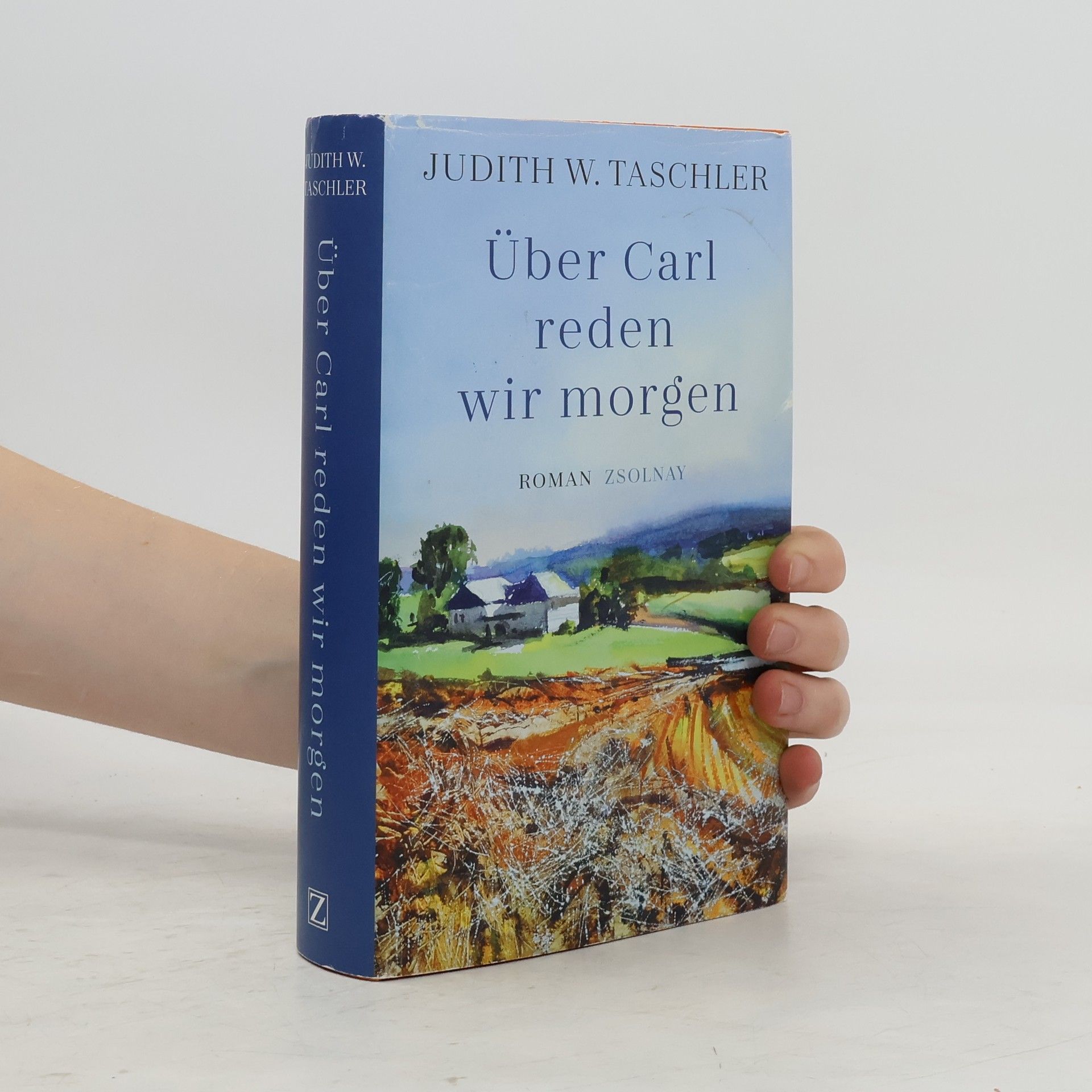 Judith W Taschler Über Carl reden wir morgen