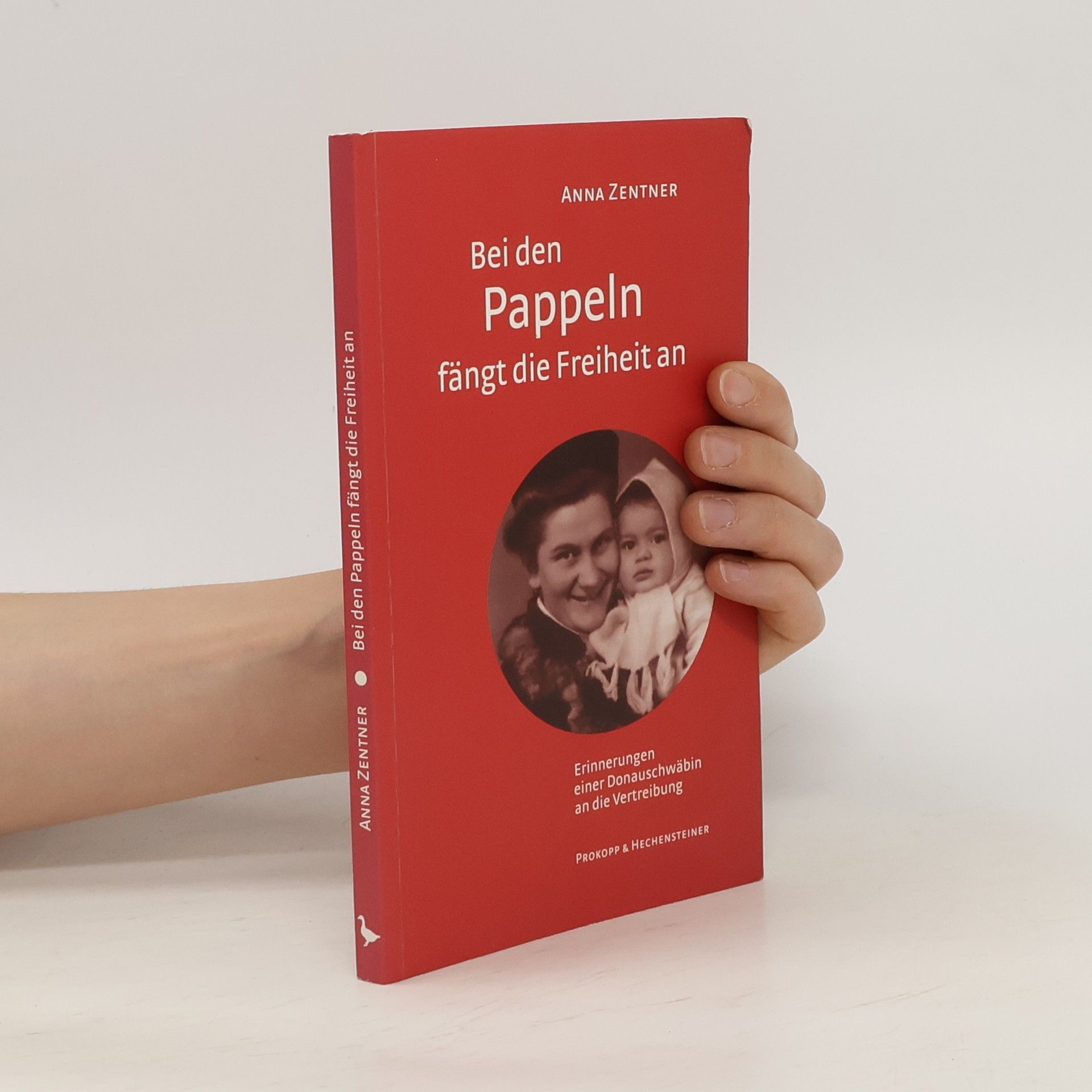 Anna Zentner Bei den Pappeln fängt die Freiheit an