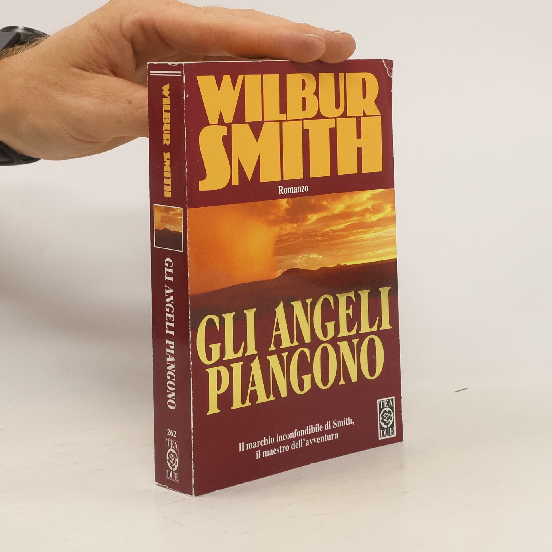Wilbur A. Smith Gli angeli piangono