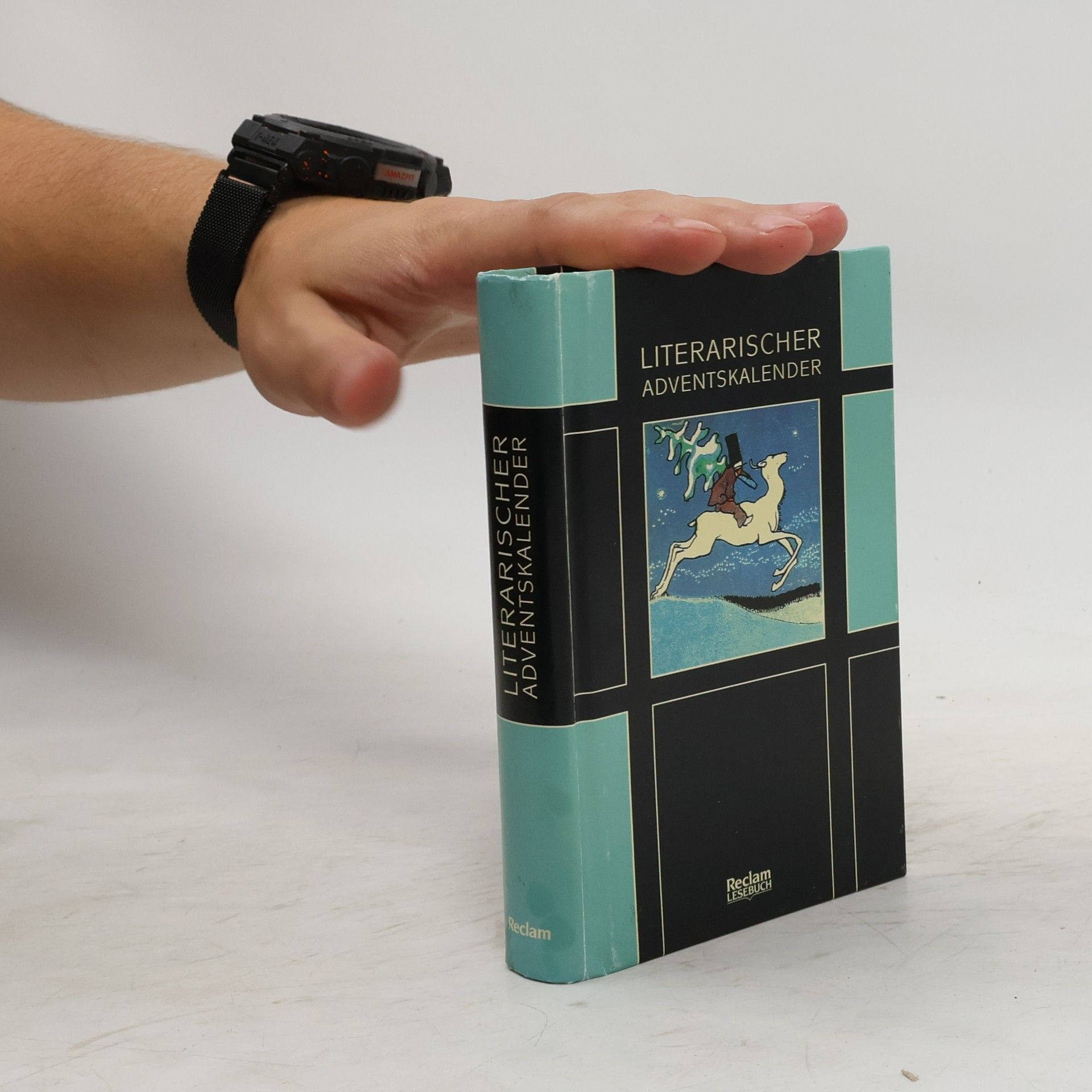 Evelyne Polt-Heinzl Literarischer Adventskalender