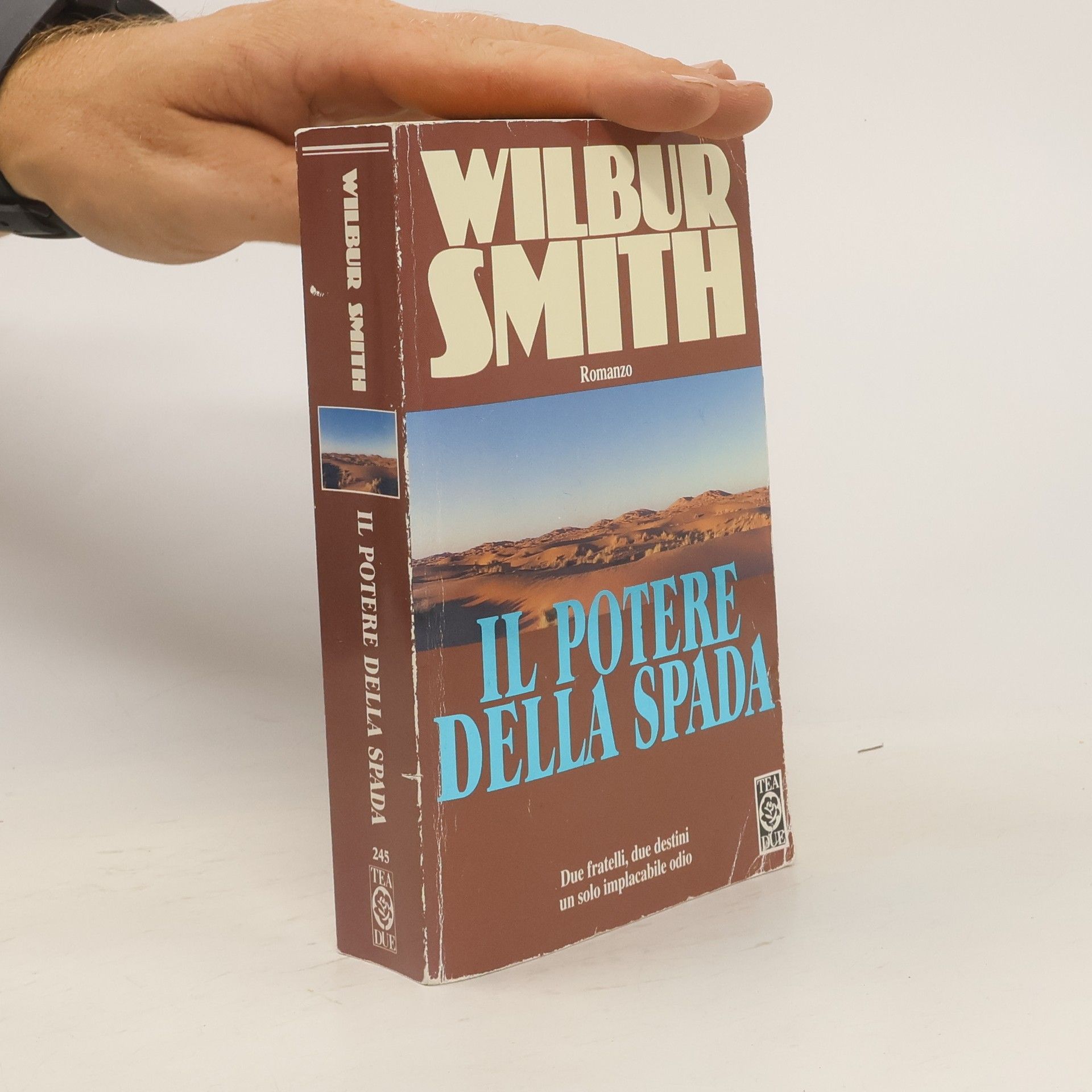 Wilbur Smith Il potere della spada