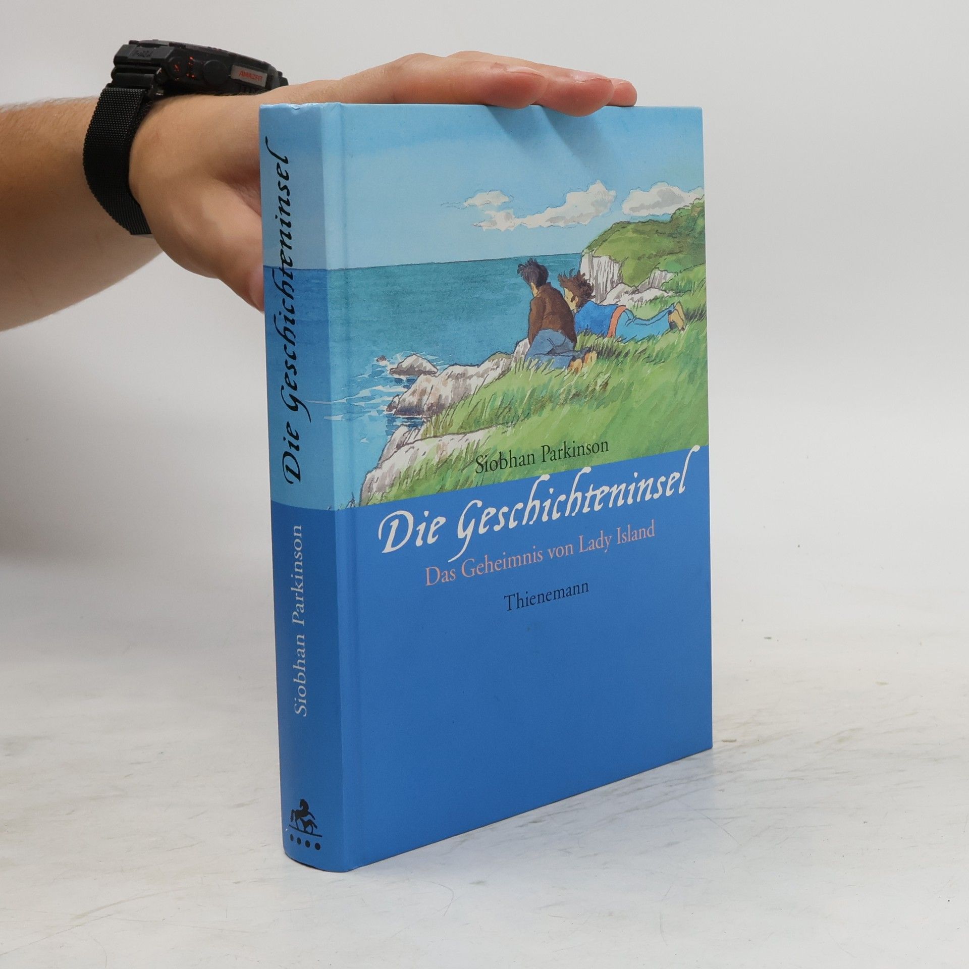Siobhán Parkinson Die Geschichteninsel. Das Geheimnis von Lady Island