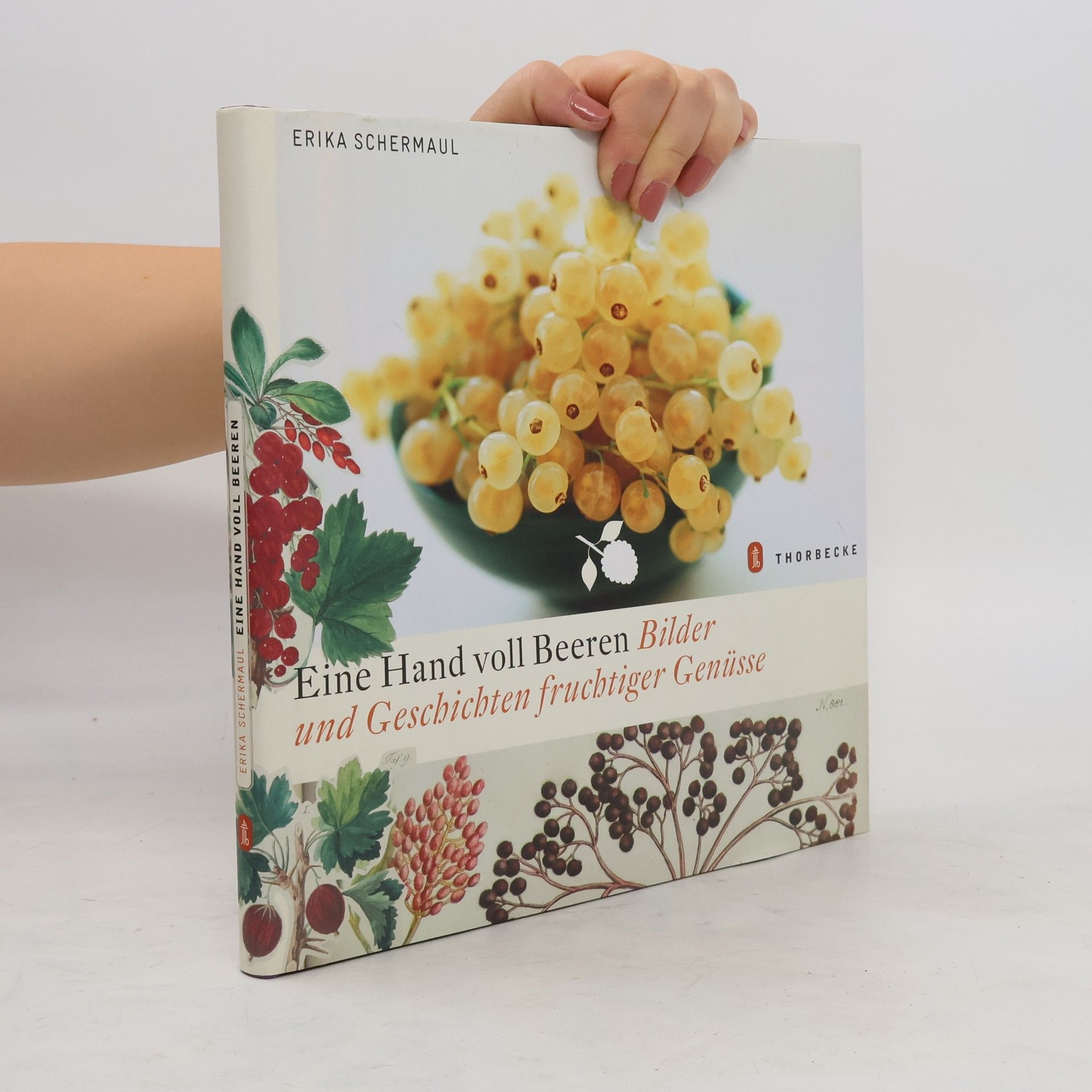 Erika Schermaul Eine Hand voll Beeren