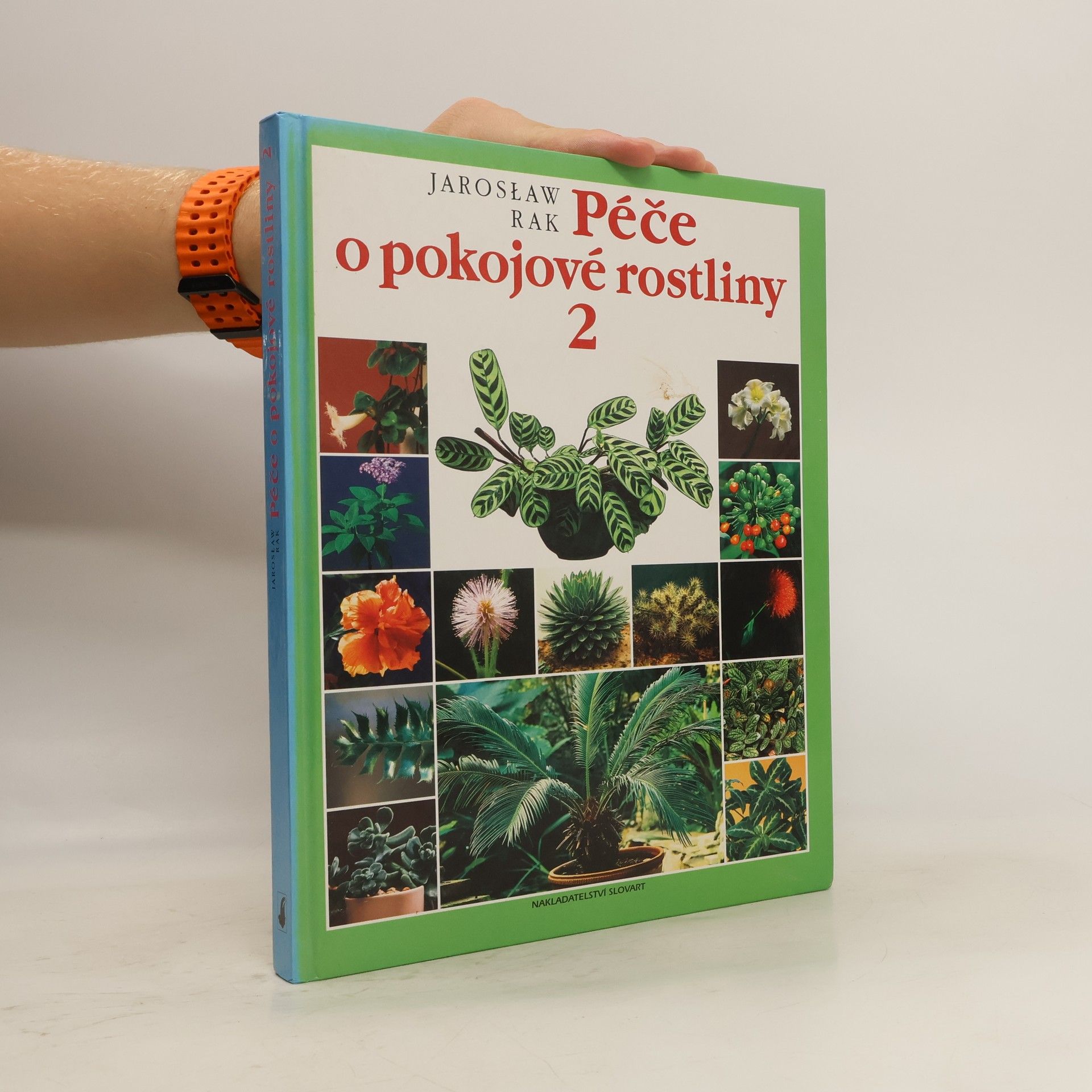 Jarosław Rak Péče o pokojové rostliny 2