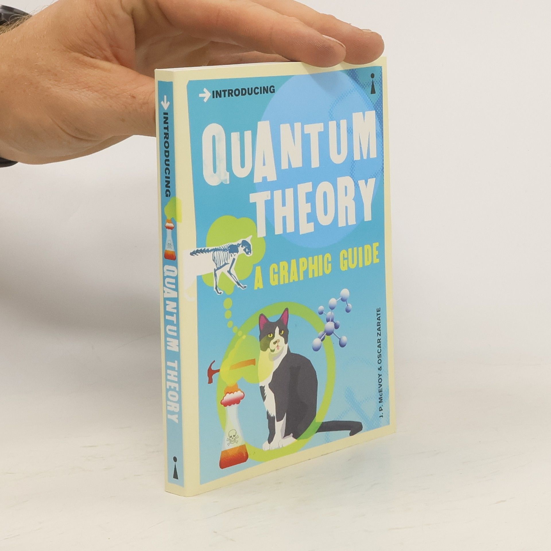 Joseph P. McEvoy Quantum theory