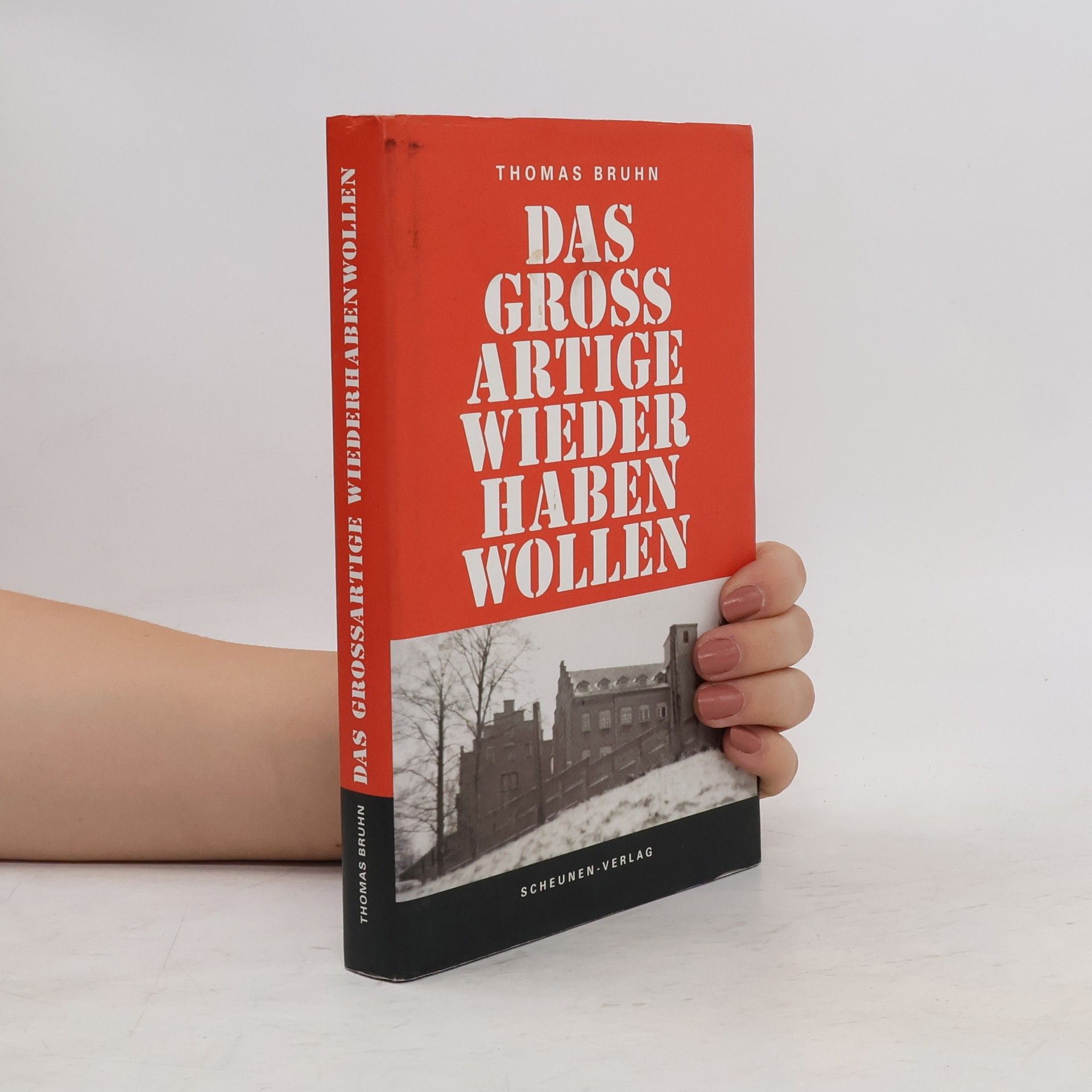 Thomas Bruhn Das großartige Wiederhabenwollen