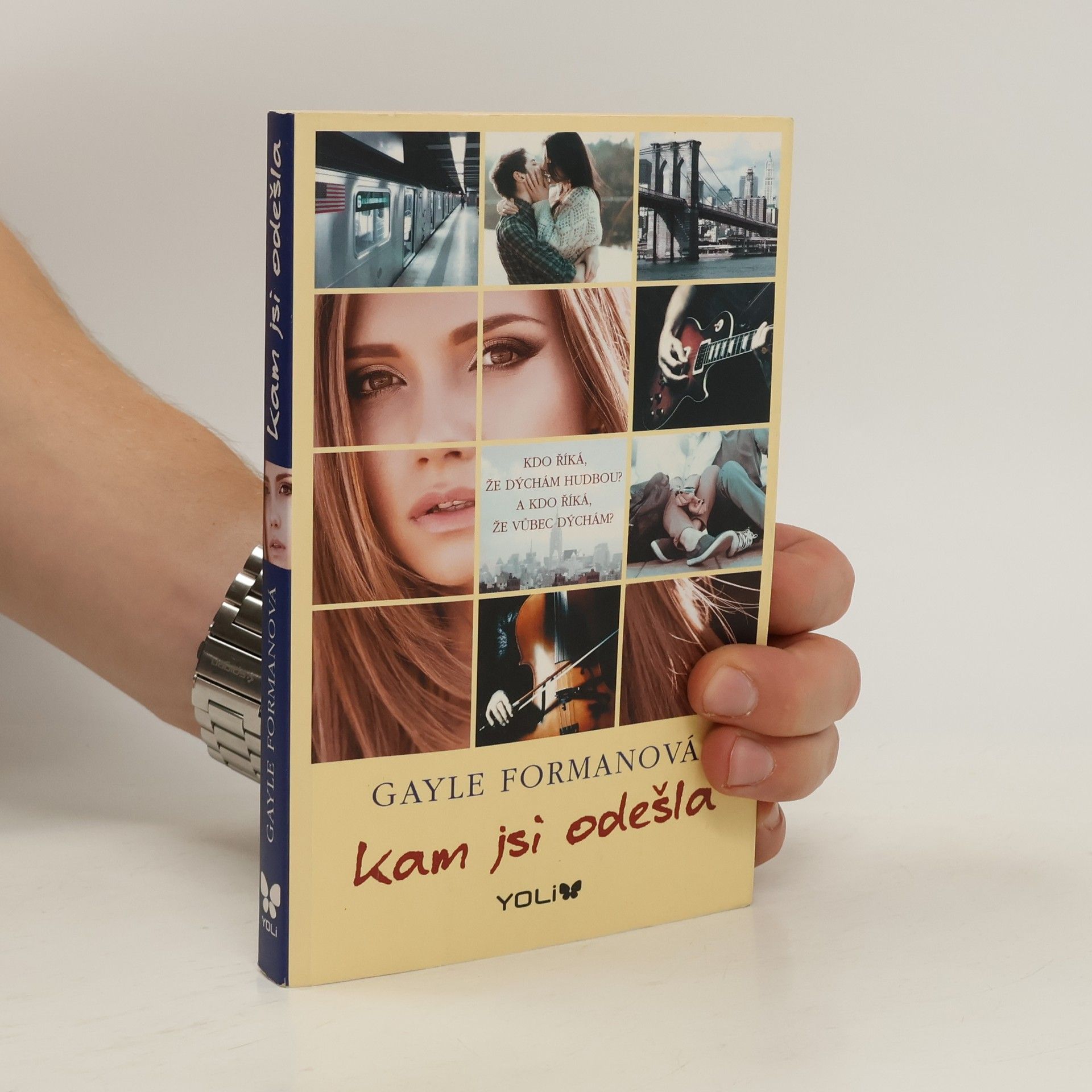 Gayle Forman Kam jsi odešla