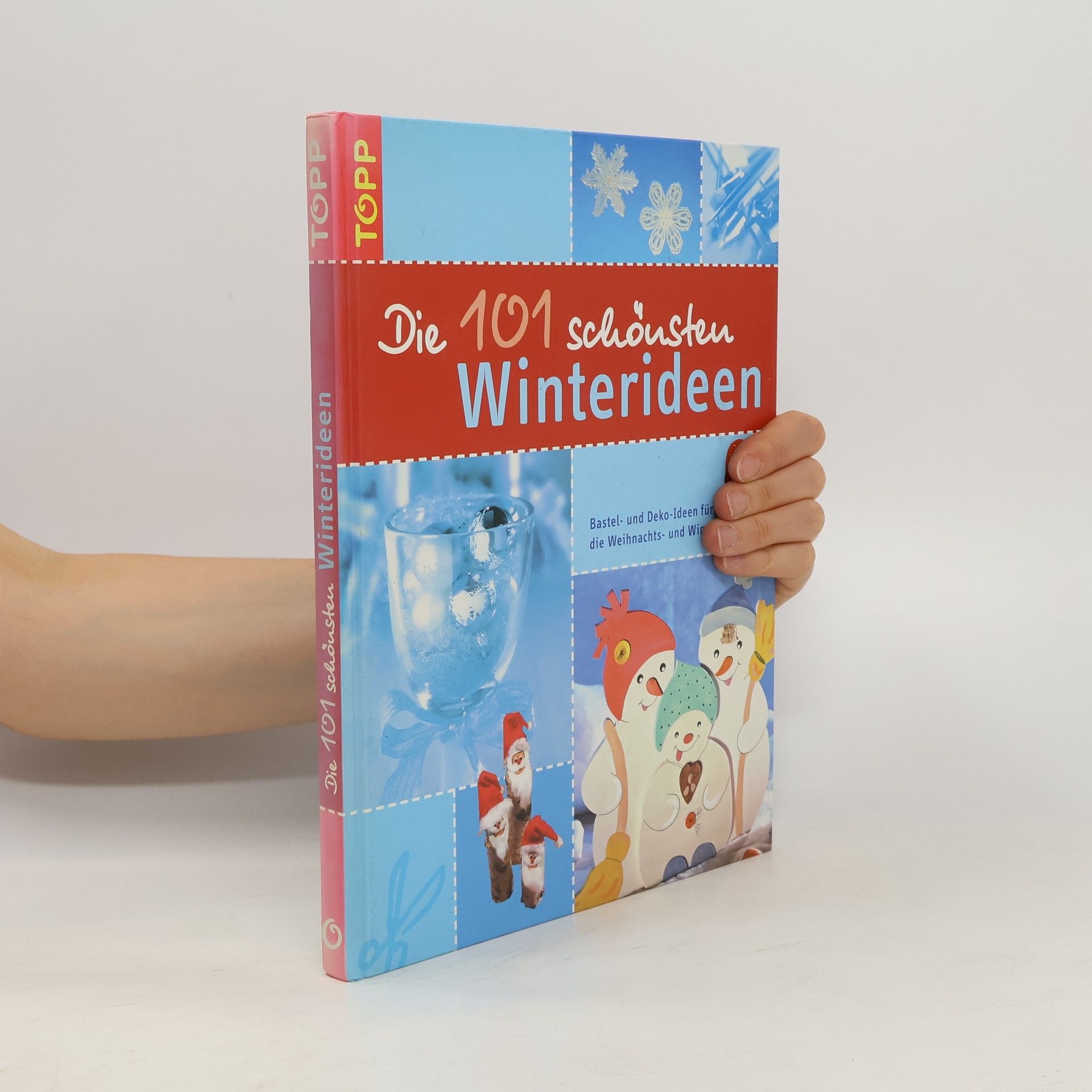 Autorenkollektiv Die 101 schönsten Winterideen