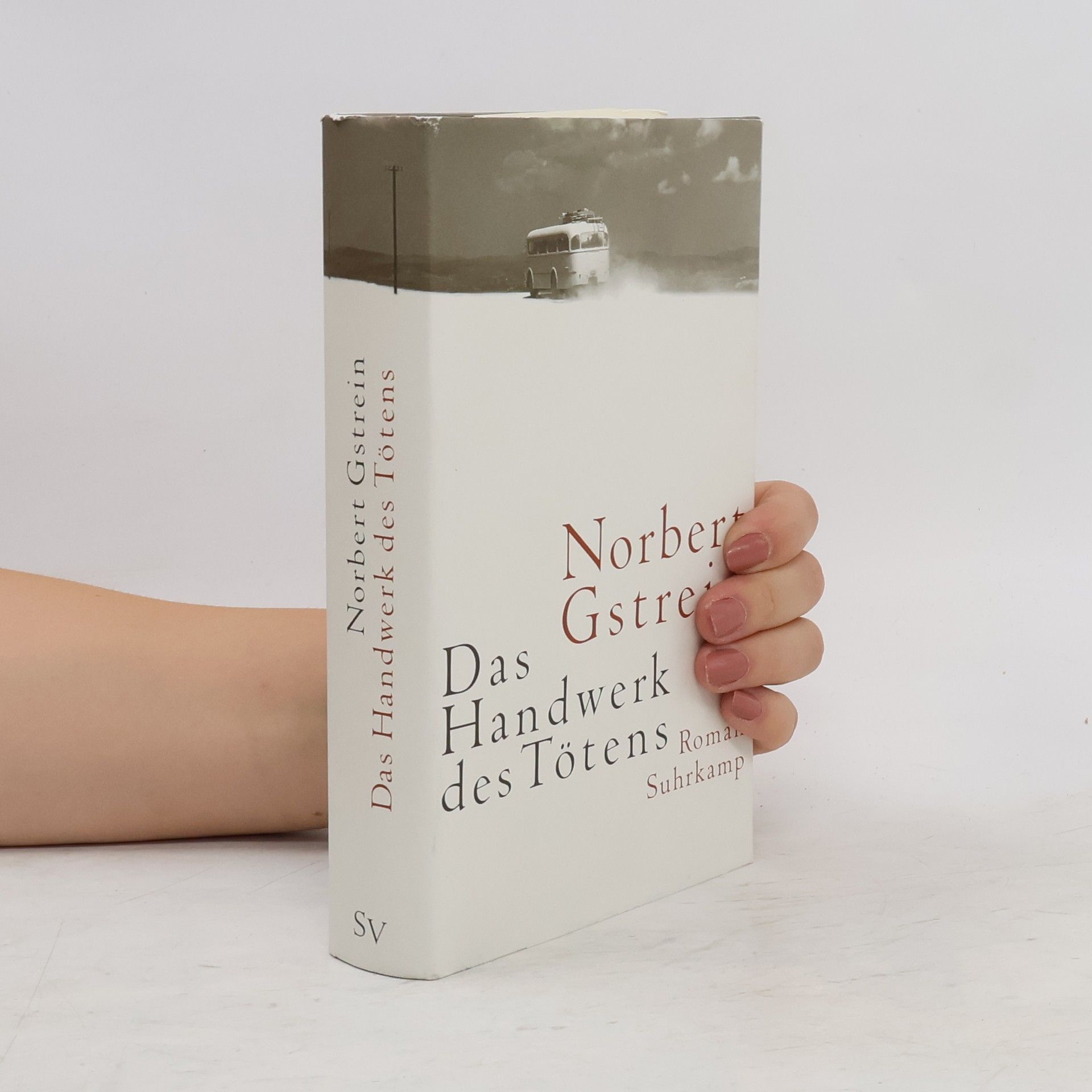Norbert Gstrein Das Handwerk des Tötens