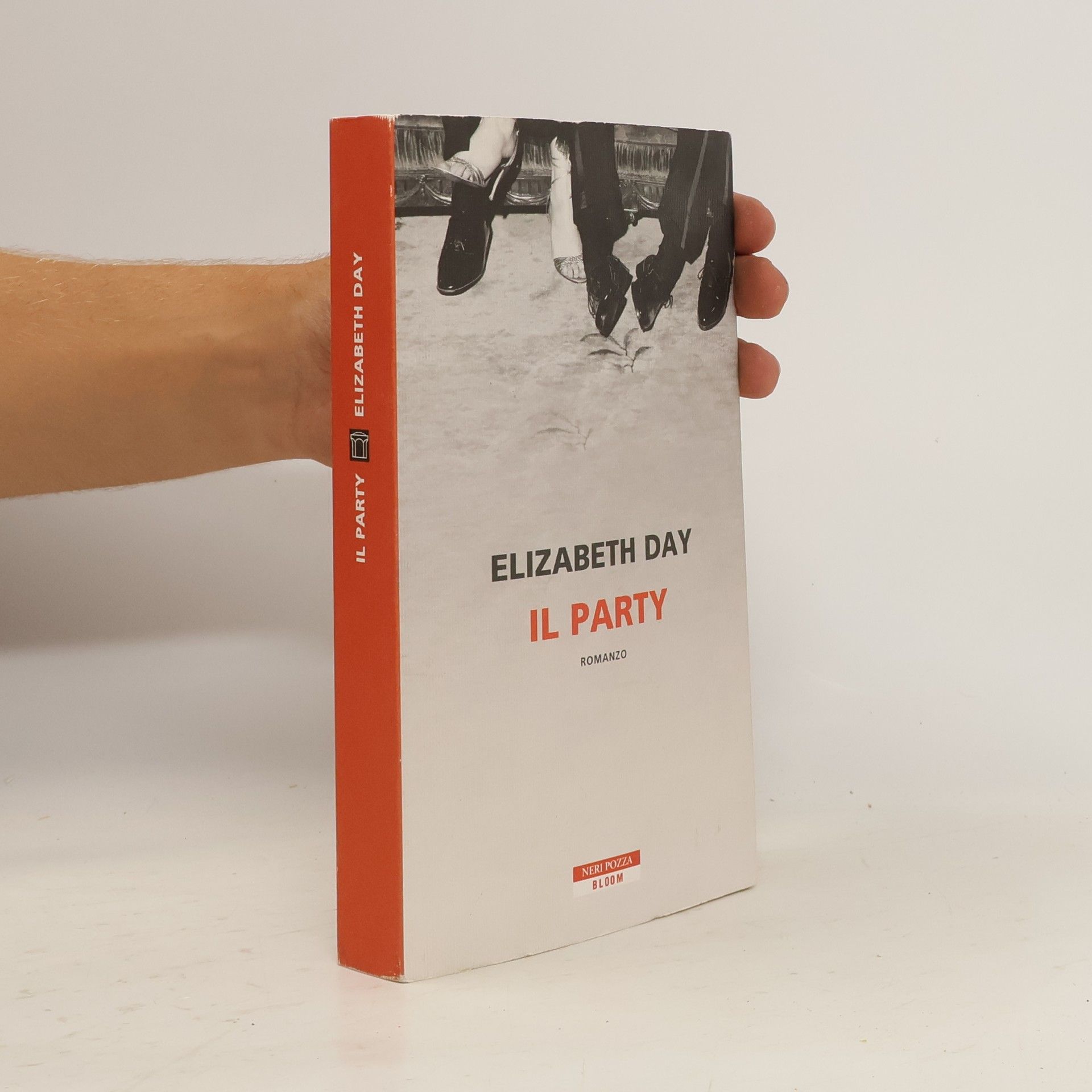 Elizabeth Day Il party