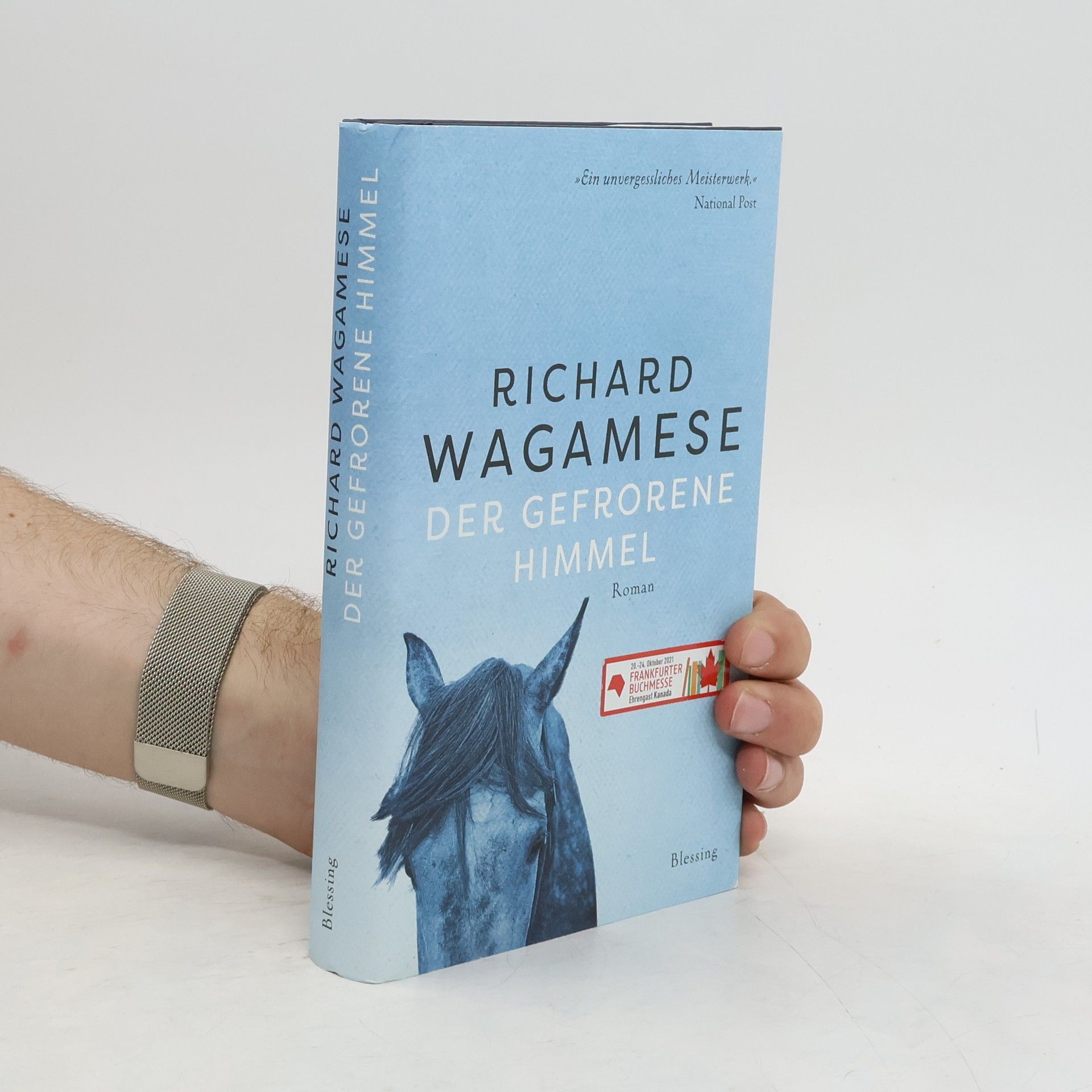 Richard Wagamese Der gefrorene Himmel