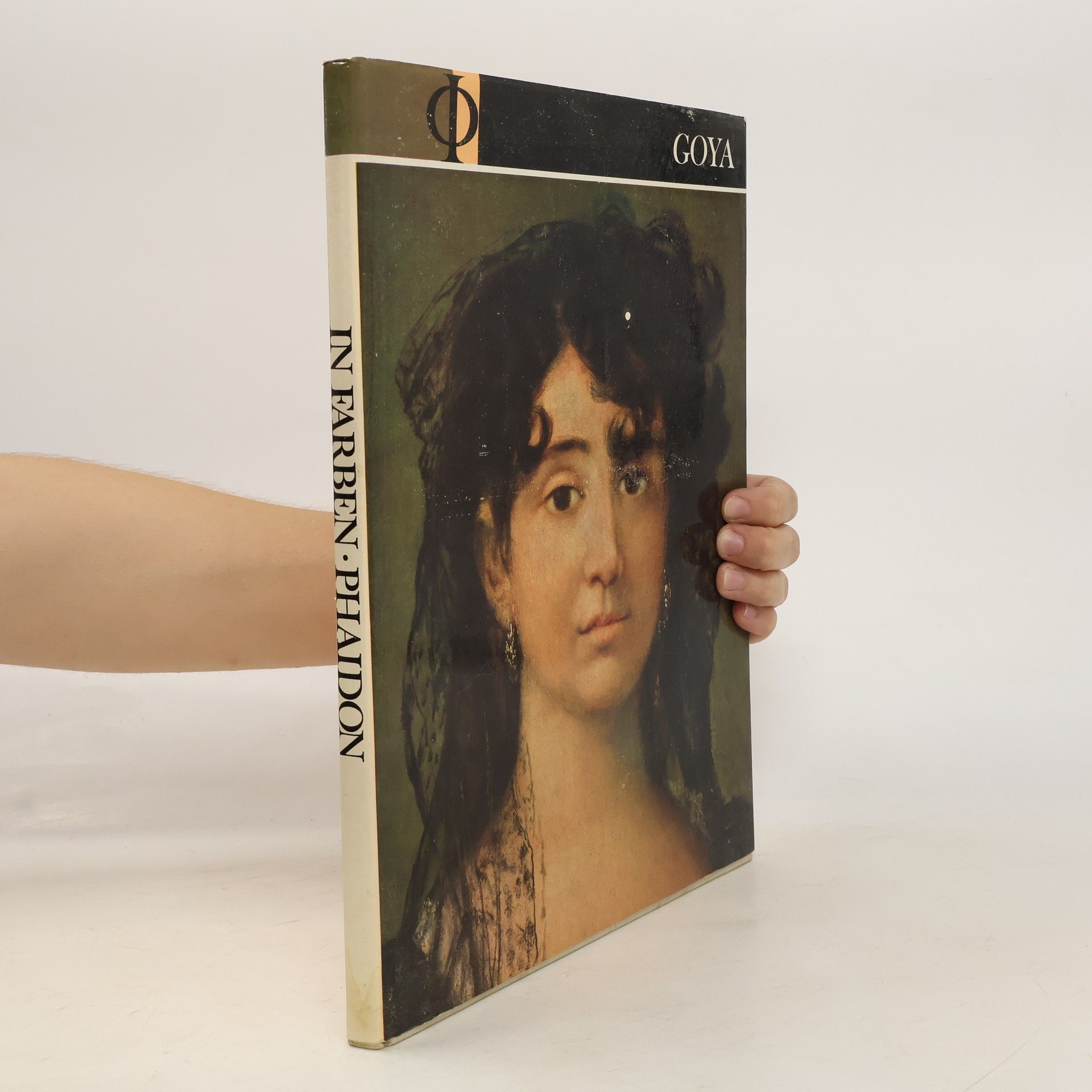 Autorenkollektiv Goya in Farben