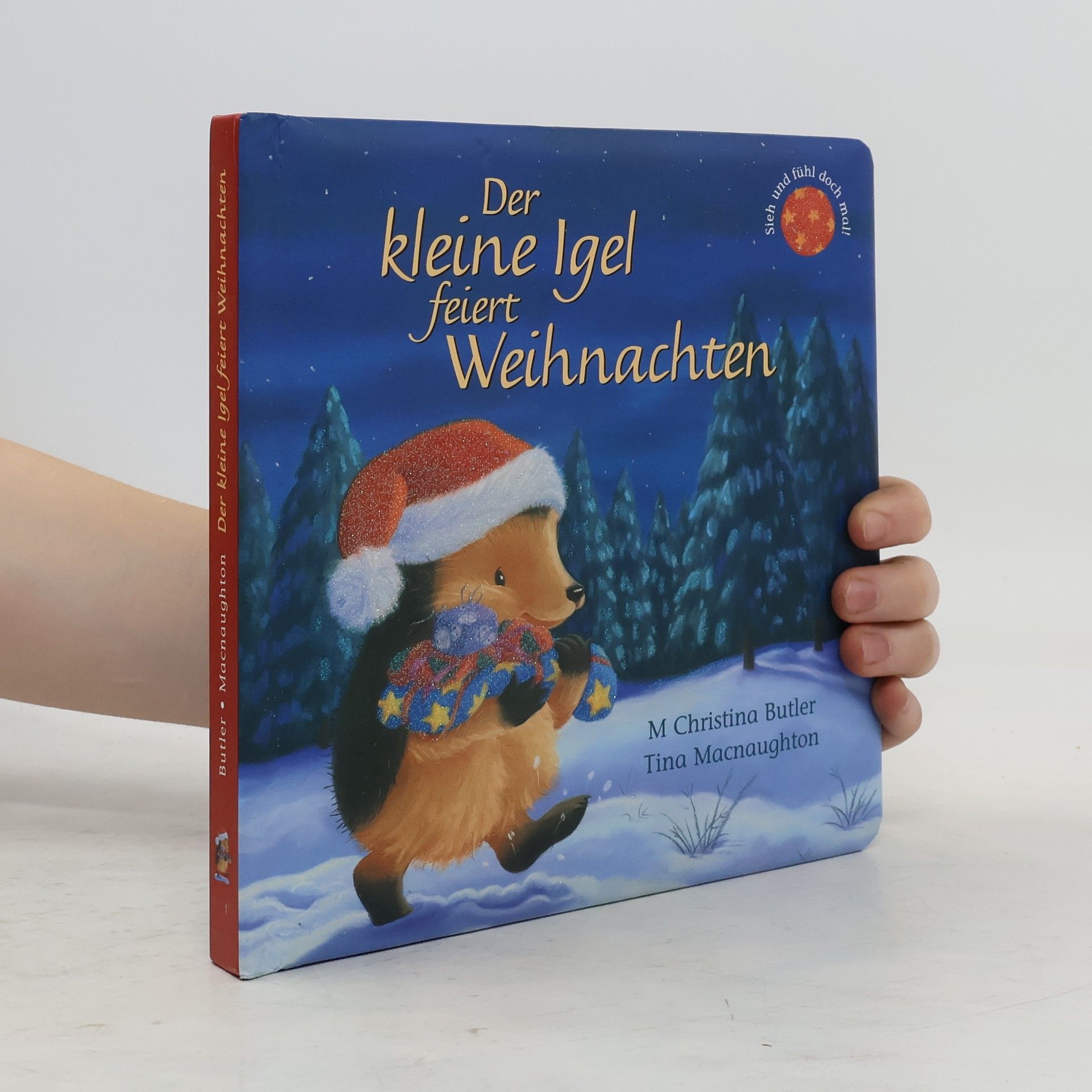 Kolektiv autorů Der kleine Igel feiert Weihnachten