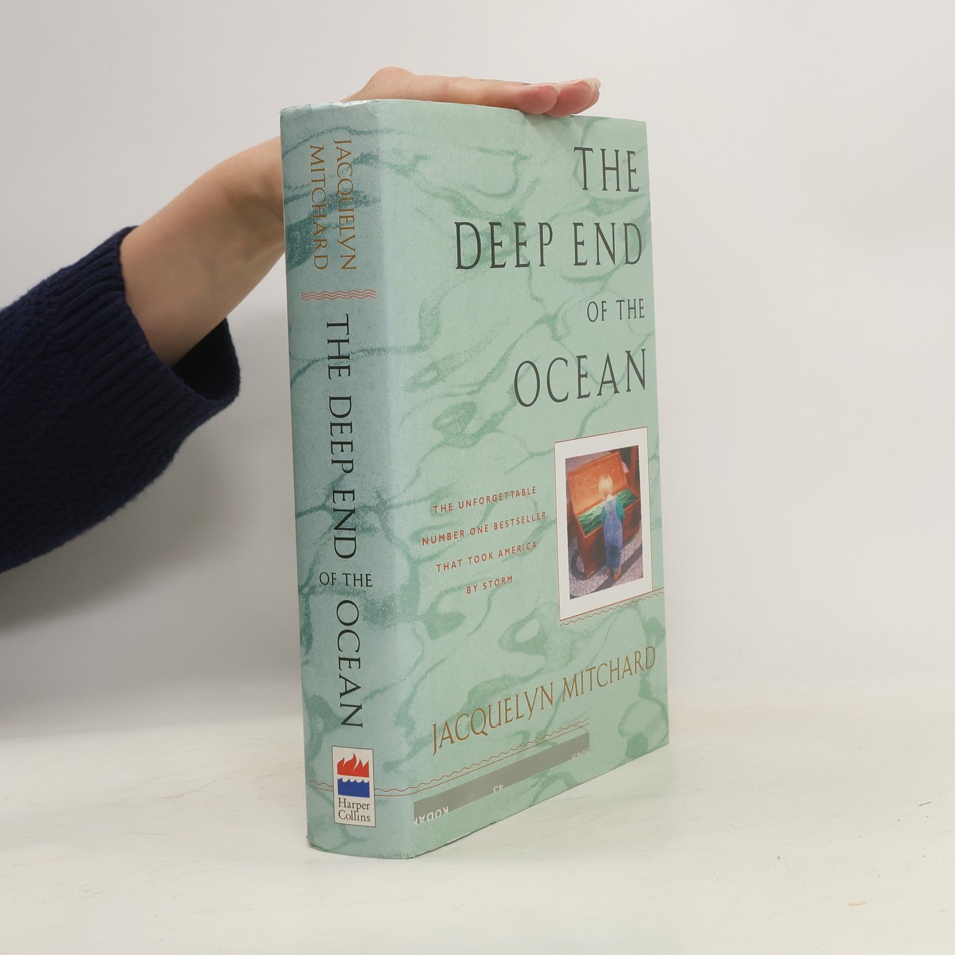 Jacquelyn Mitchard The Deep End of the Ocean