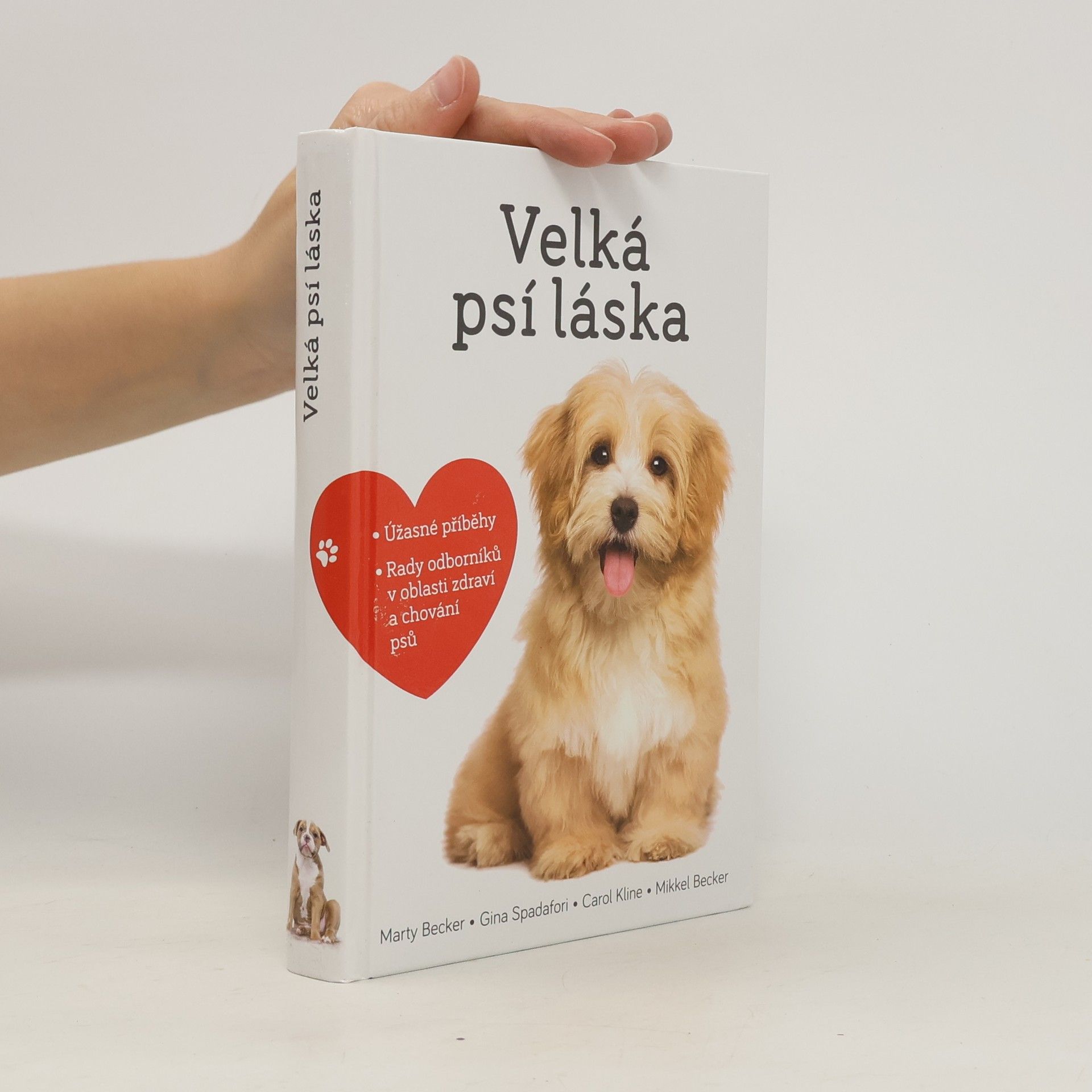 Marty Becker Velká psí láska: Příběhy, rady a úžasné fotografie psích bytostí