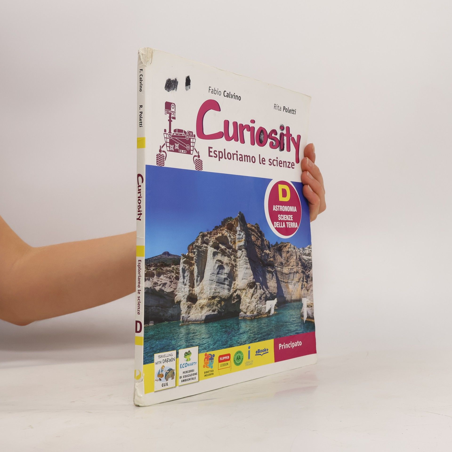 Fabio Calvino Curiosity D