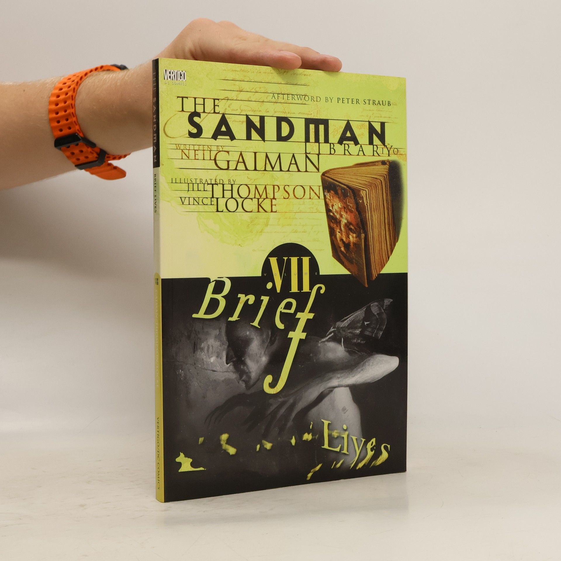 Neil Gaiman The Sandman: Brief Lives Volume 7