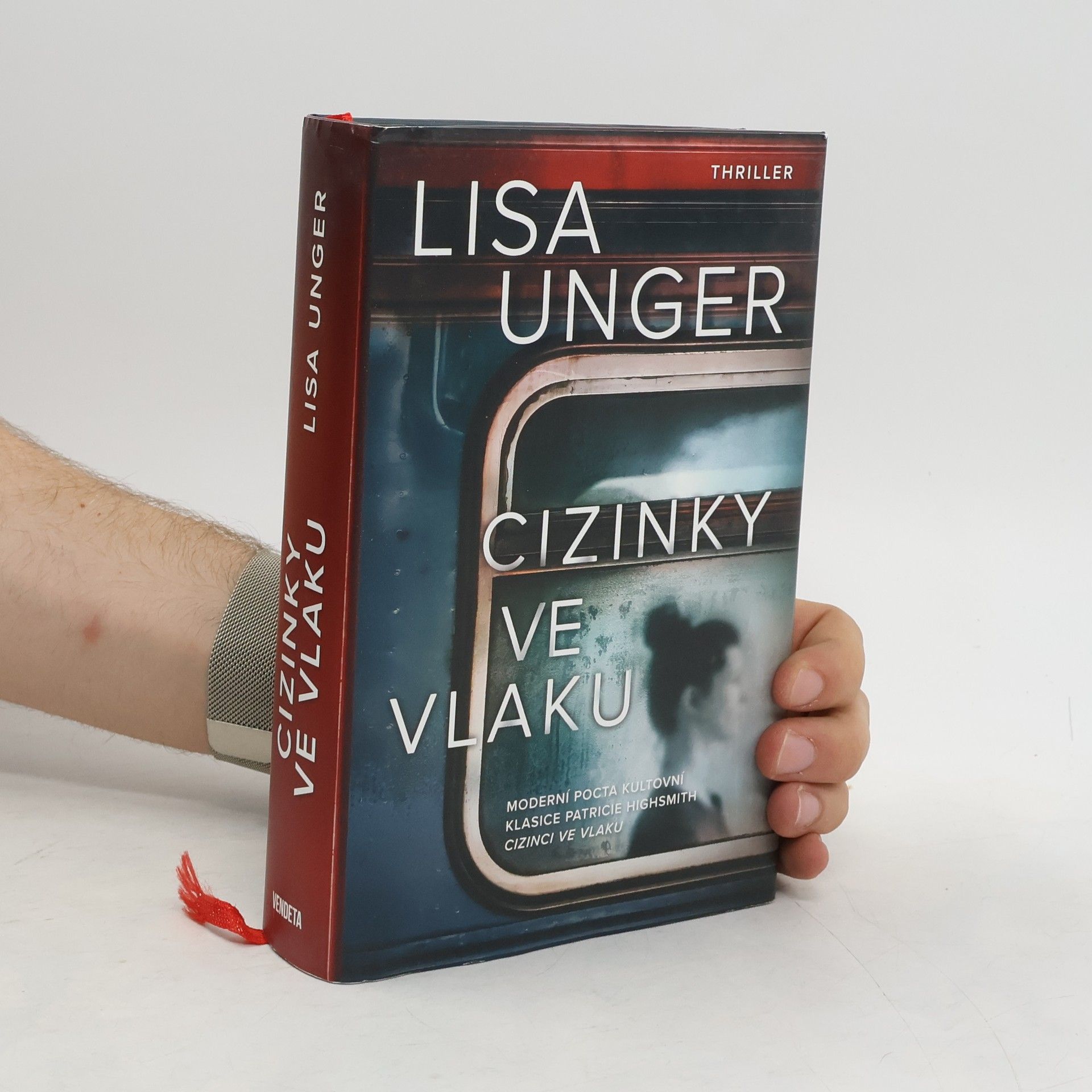 Lisa Unger Cizinky ve vlaku