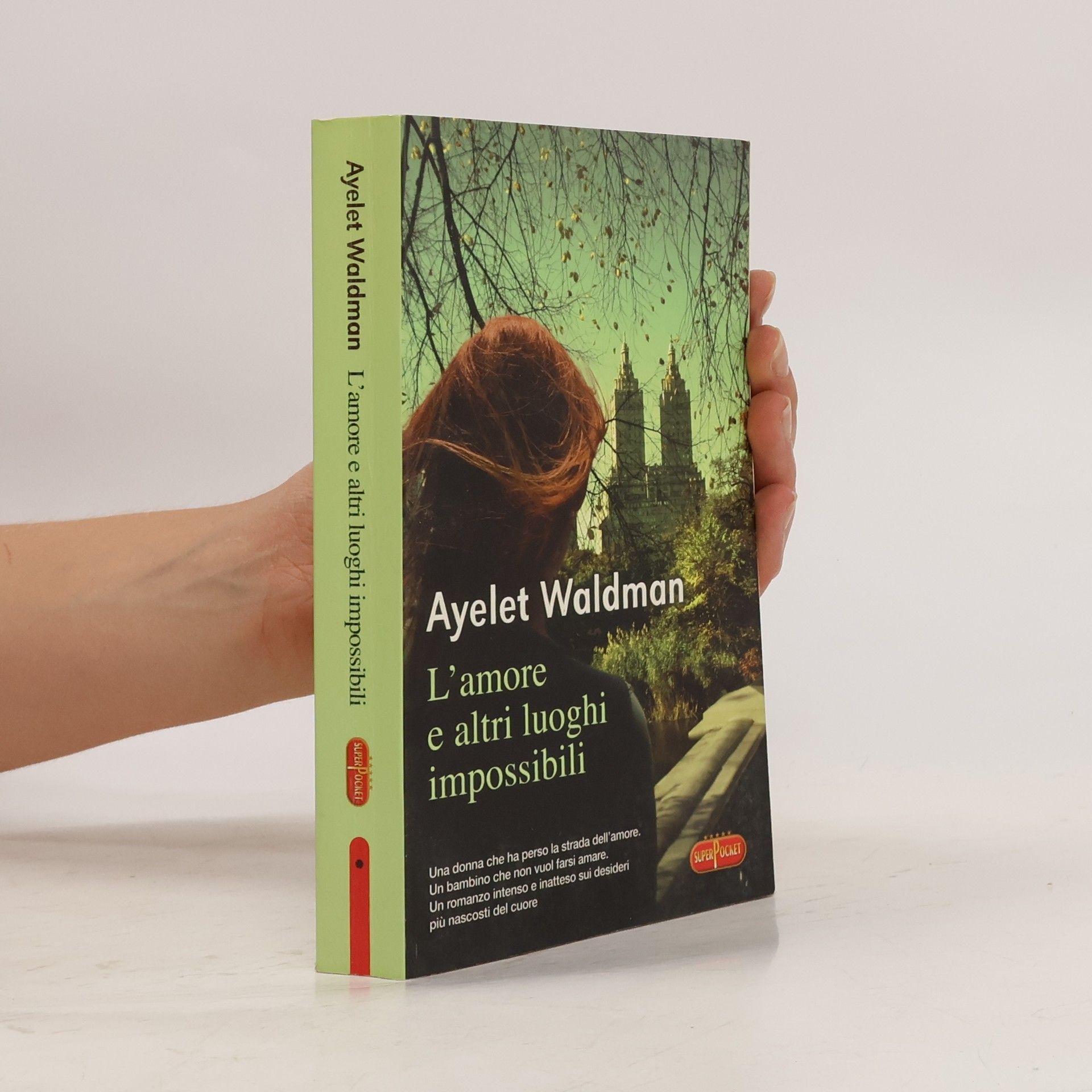 Ayelet Waldman L'amore e altri luoghi impossibili