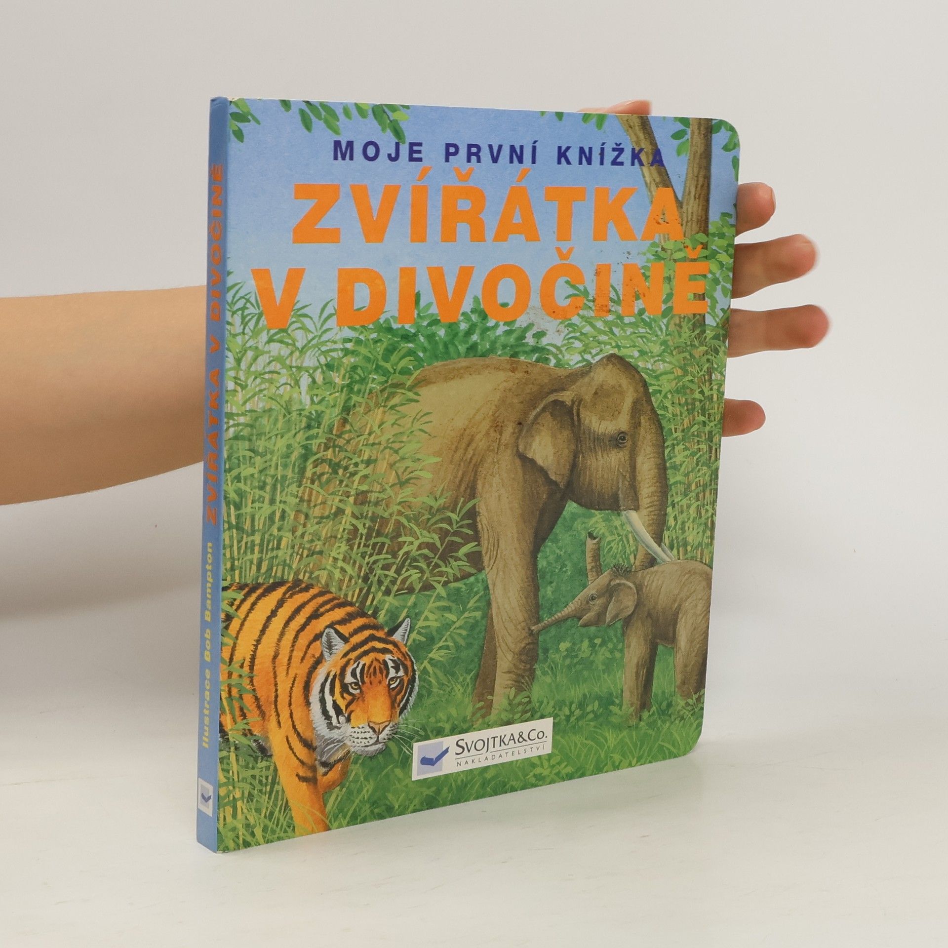 Various authors Zvířátka v divočině