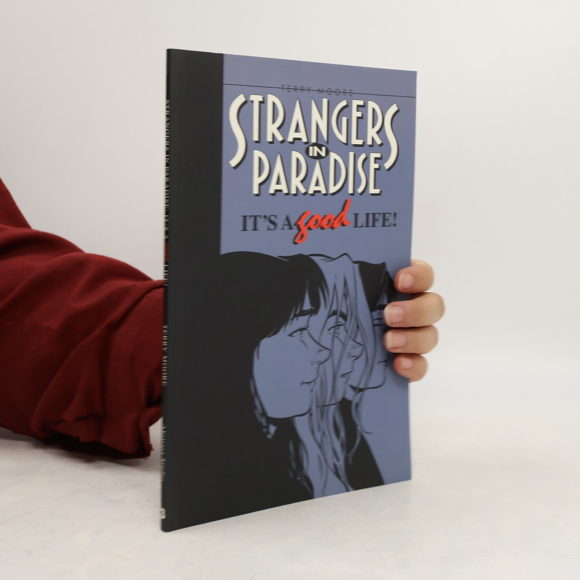 Terry Moore Strangers in Paradise 3