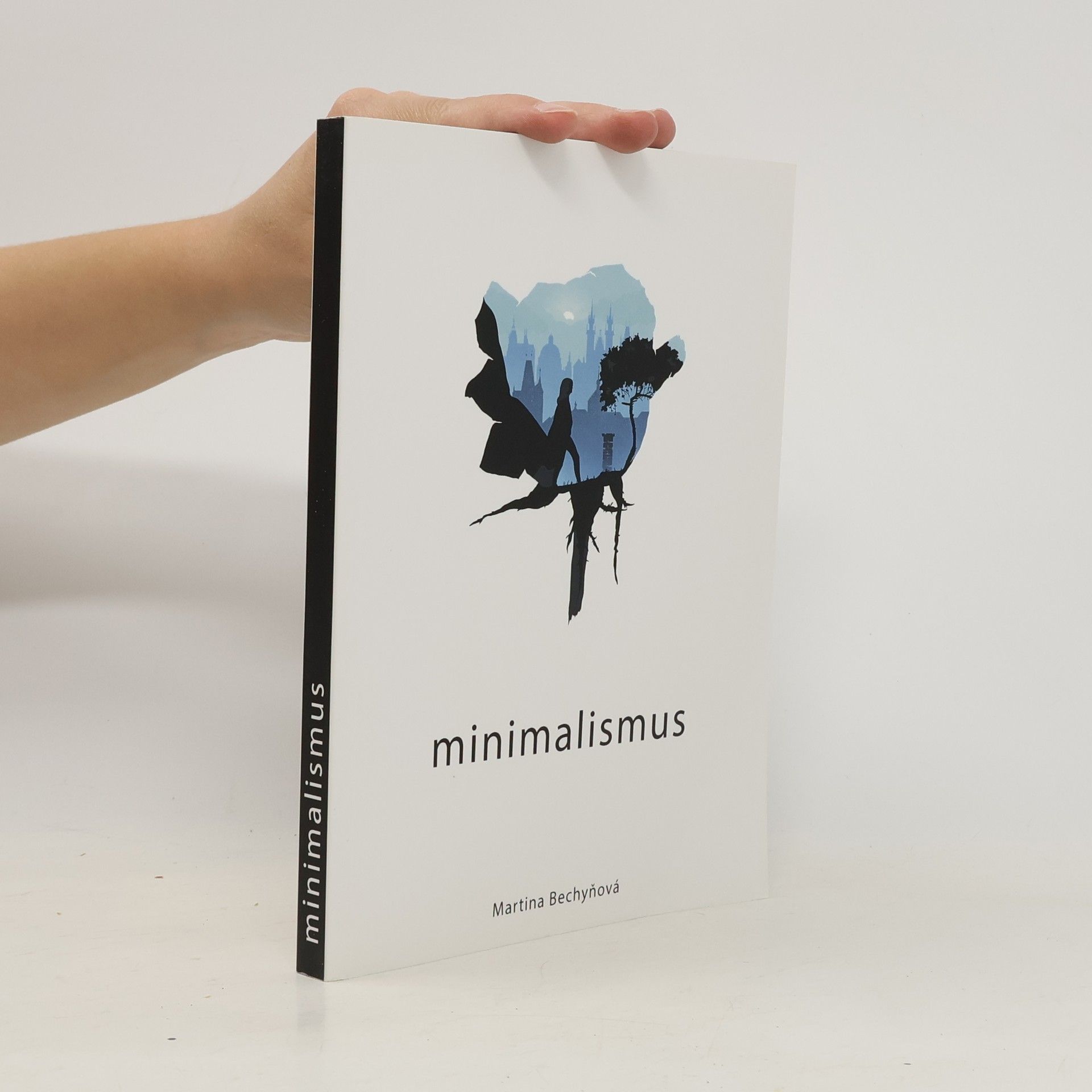 Martina Bechyňová Minimalismus
