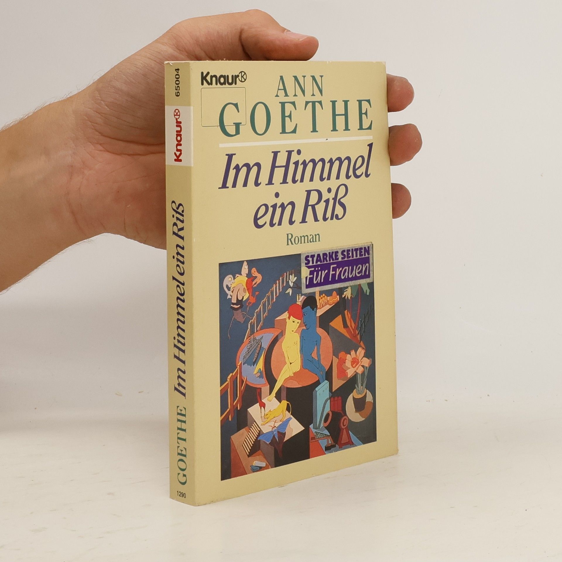 Ann Goethe Im Himmel ein Riß. Roman