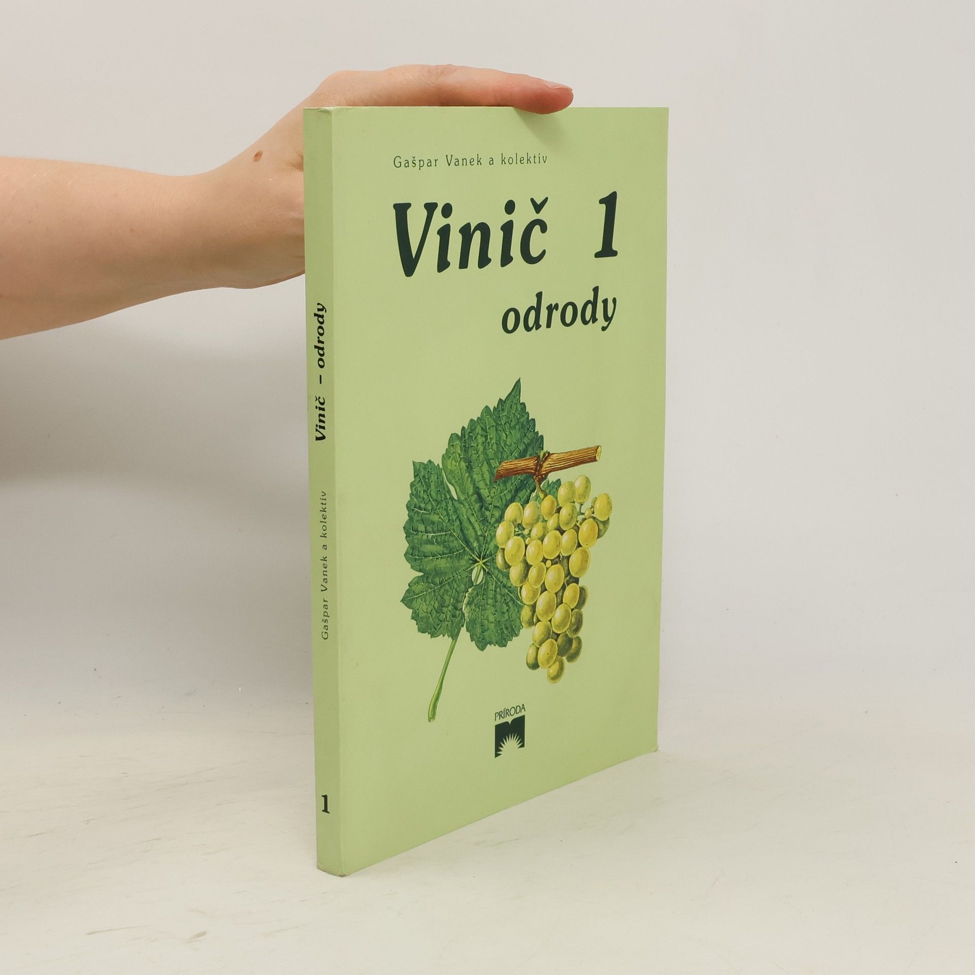 Gašpar Vanek Vinič 1. Odrody