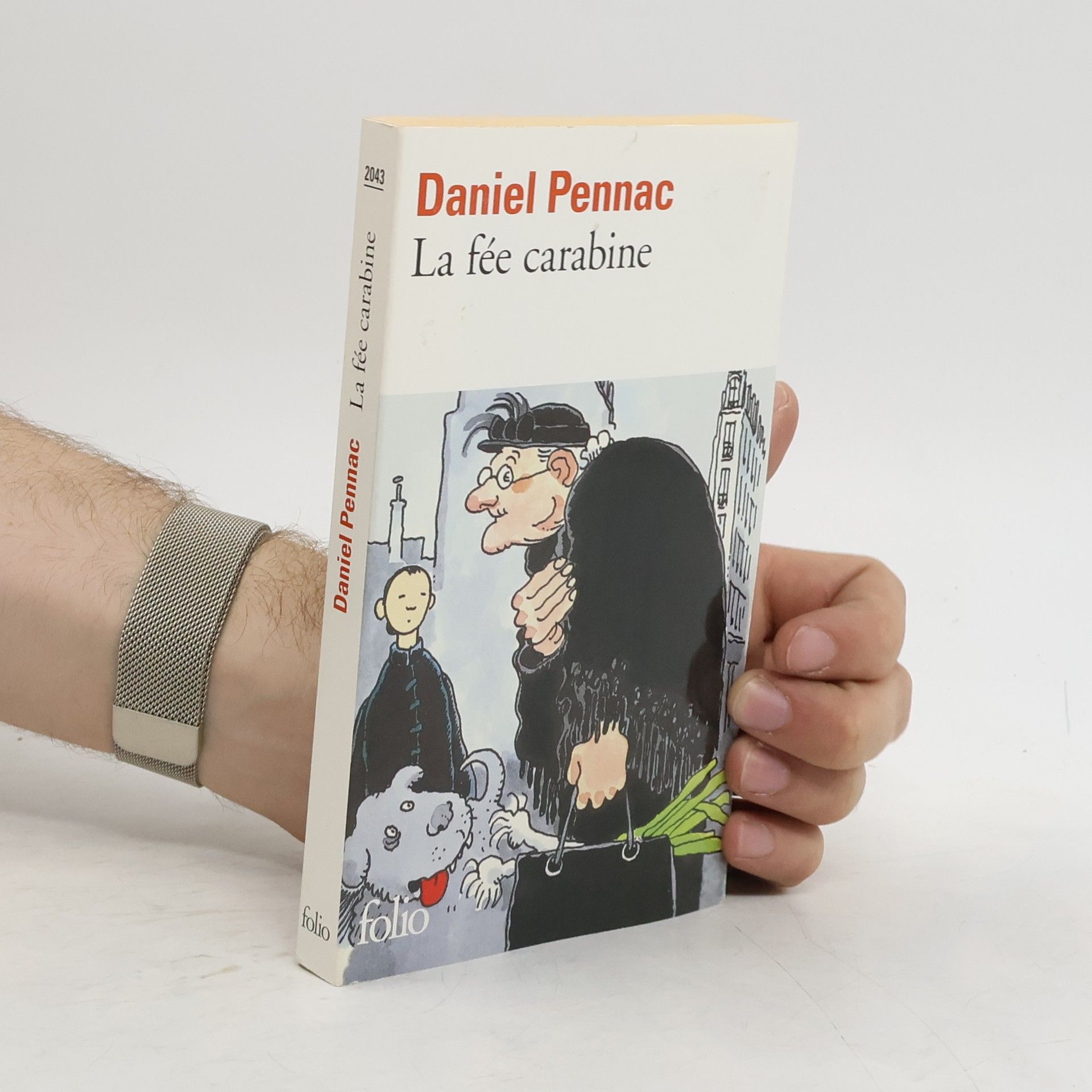 Daniel Pennac La fée carabine