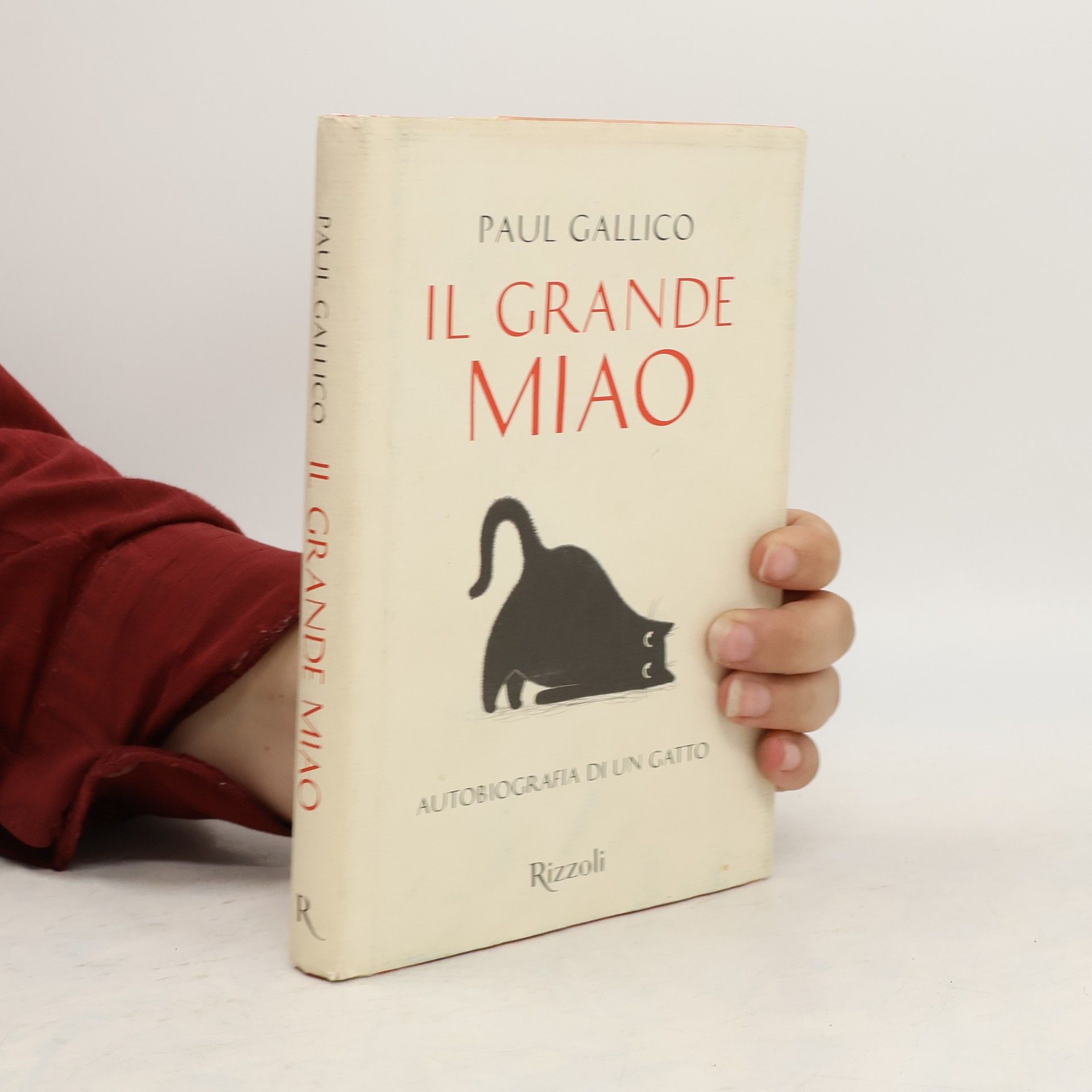 Paul Galico Il grande miao