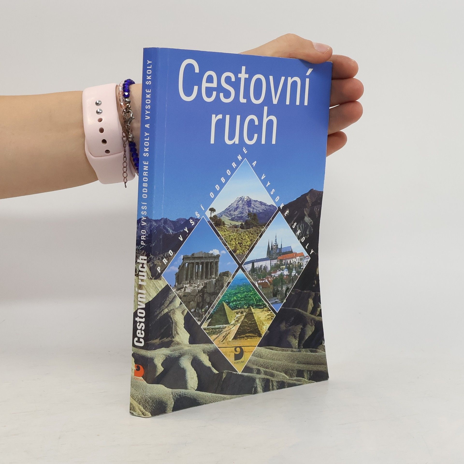 Marie Hesková Cestovní ruch : pro vyšší odborné školy a vysoké školy