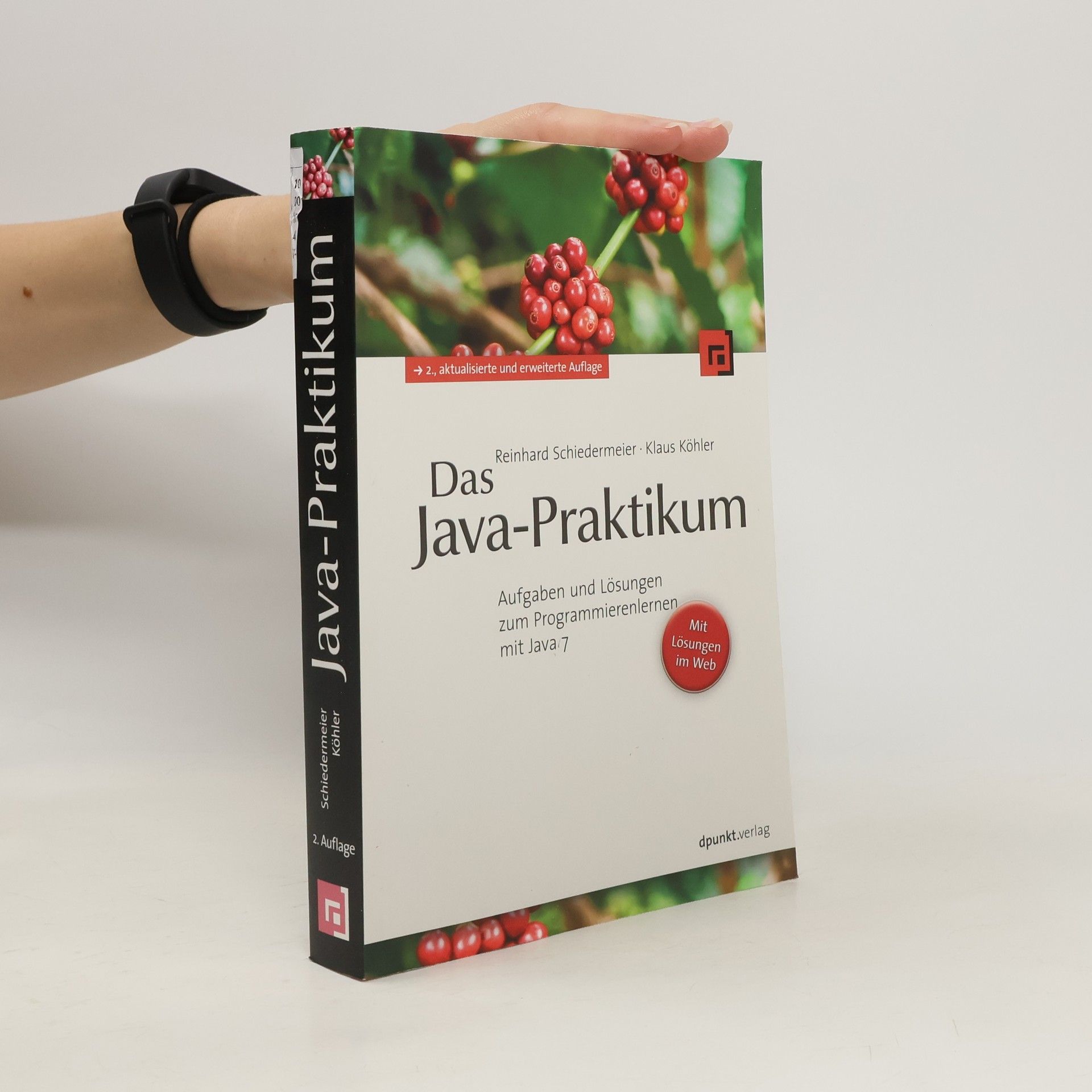 Reinhard Schiedermeier Das Java-Praktikum