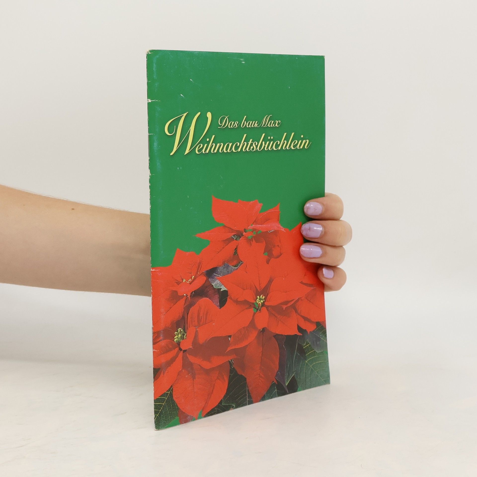 Collectif d'auteurs Das bau Max Weihnachtsbüchlein